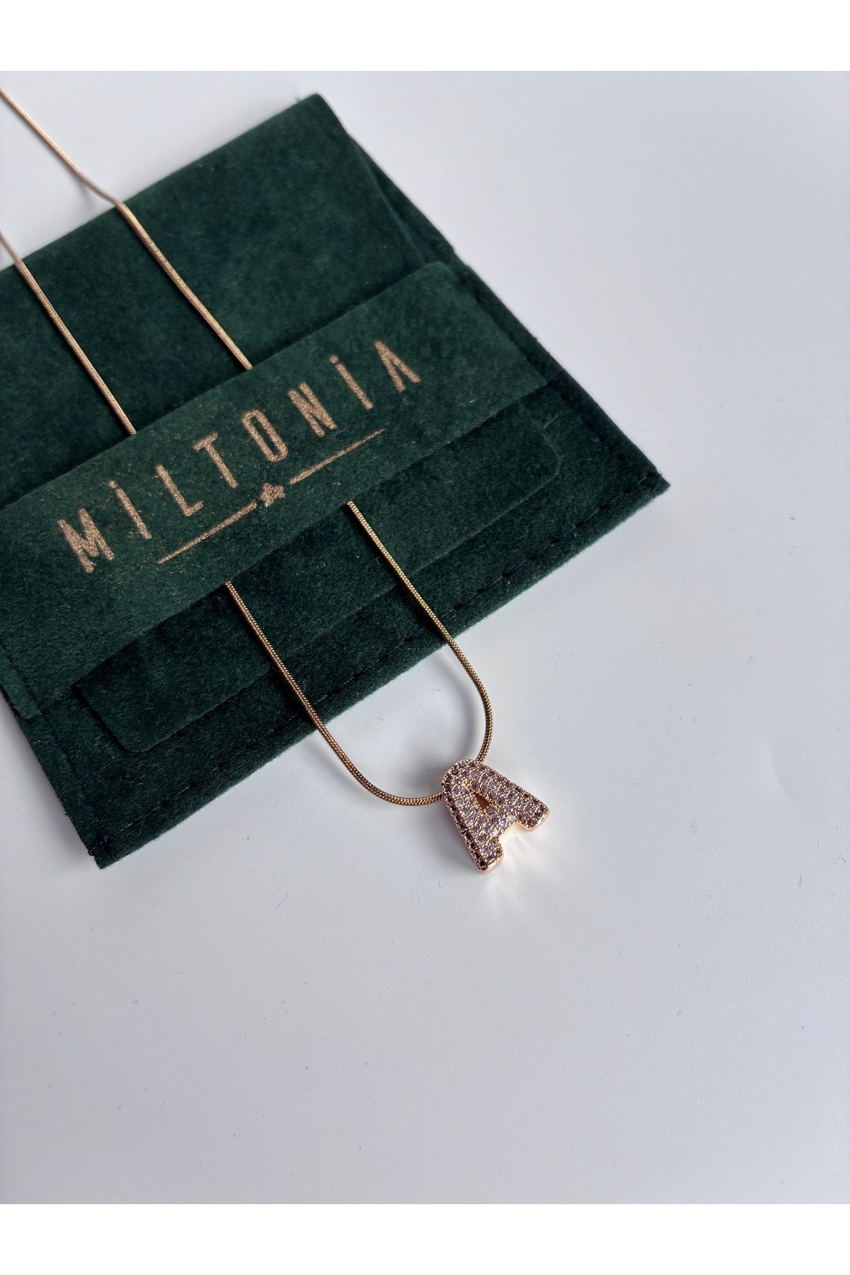 Miltonia A Harfi Çelik Kararmaz Kolye