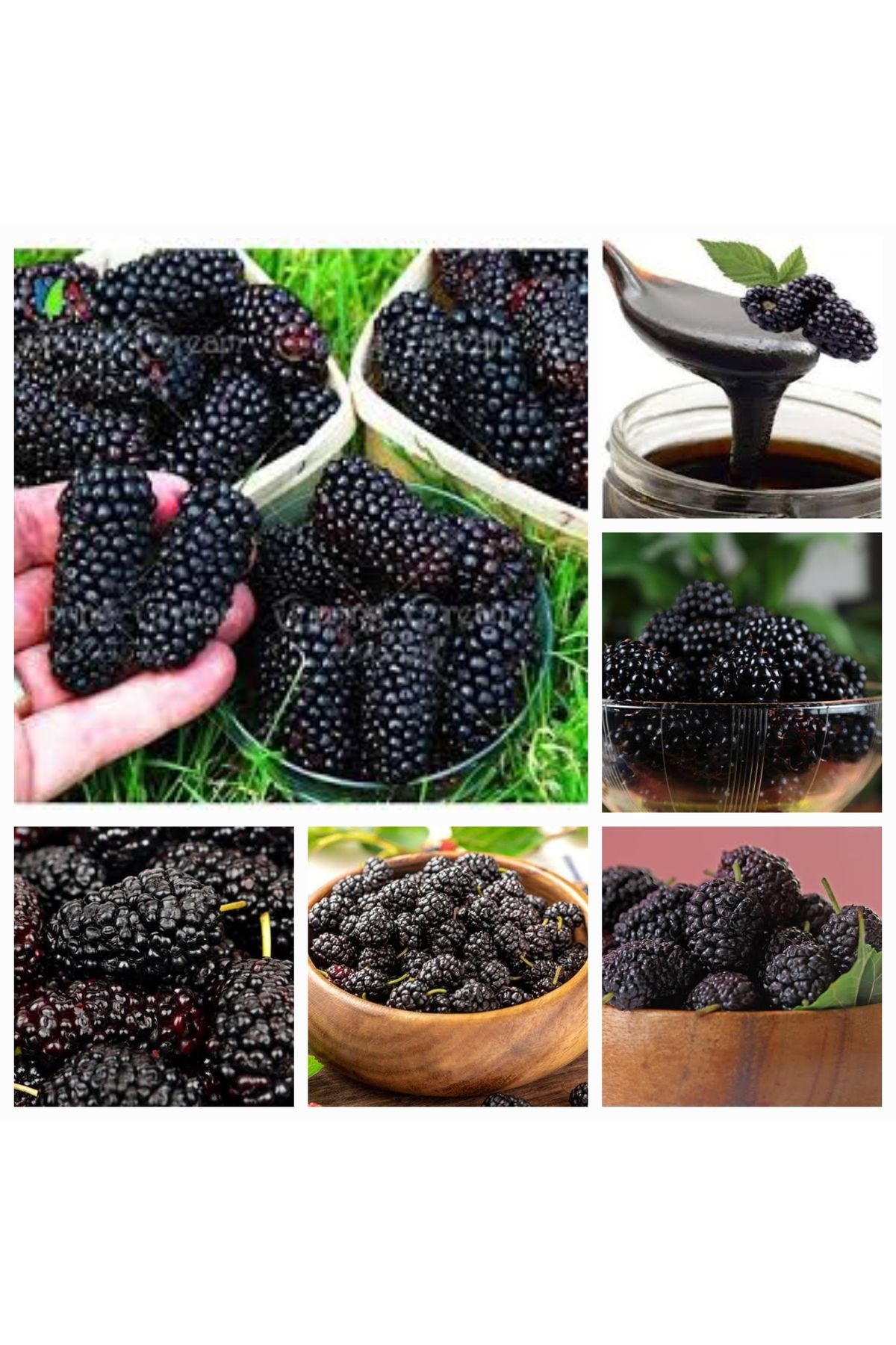 yöresel DOĞAL KARADUT ÖZÜ PEKMEZİ 1 KG