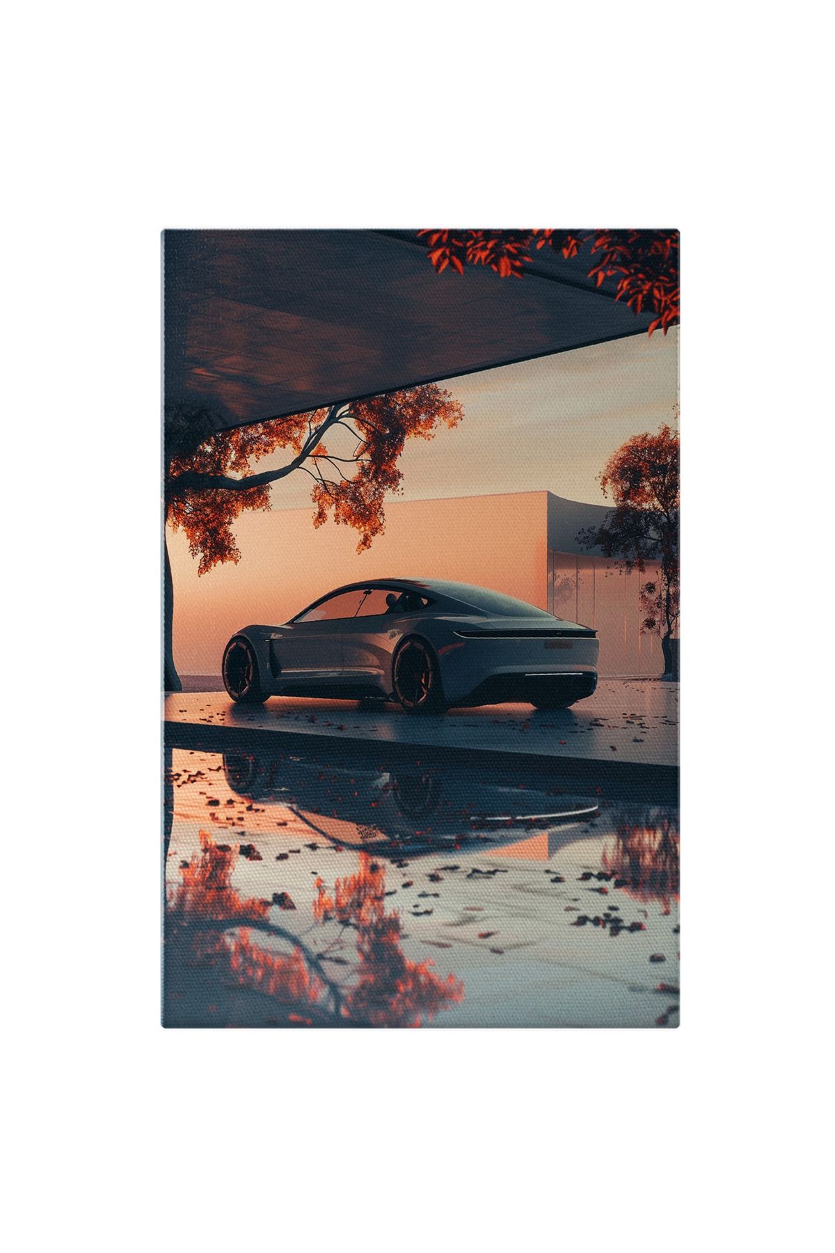 StoryGift Romania Tablou Canvas Masina Alba De Lux Parcata Langa Piscina Din Fata Casei Cu Frunze Cazute Si Copa - 40 x 25
