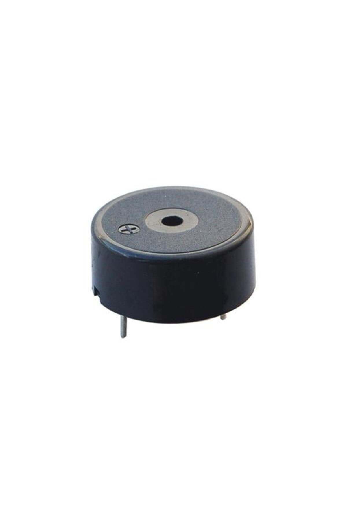 robotrend Ic-220 Buzzer 12 - 24 Volt Dc 23 Mm Devreli