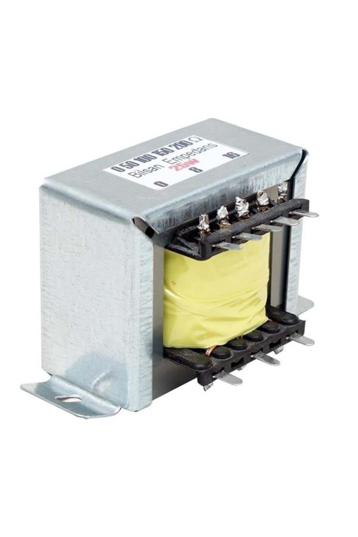 robotrend 25 Watt Empedans Trafosu