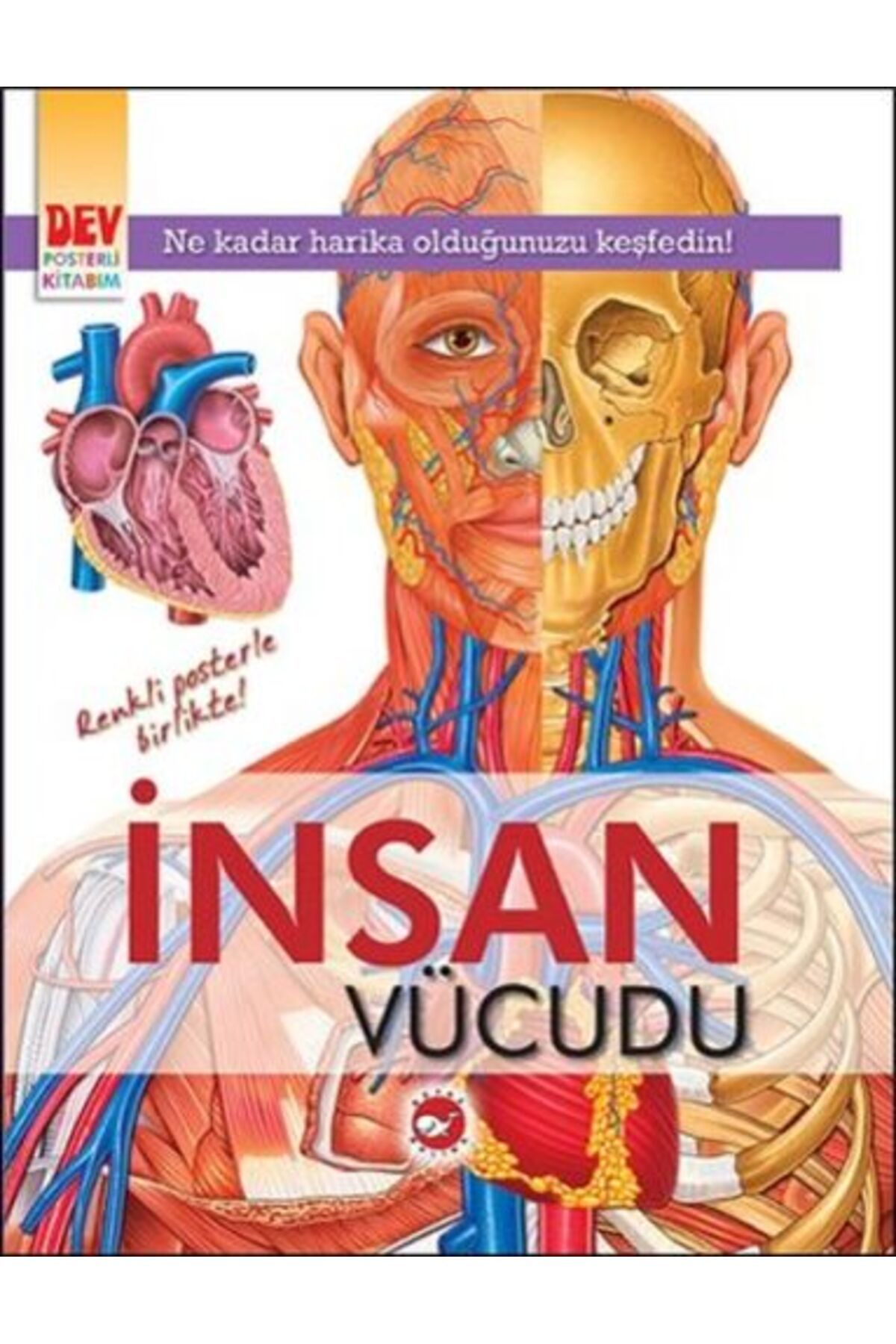 Karatay Yayınları Dev Posterli Kitabım İnsan Vücudu