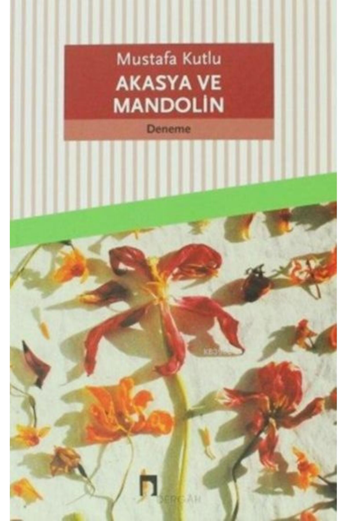 Destek Yayınları Akasya ve Mandolin