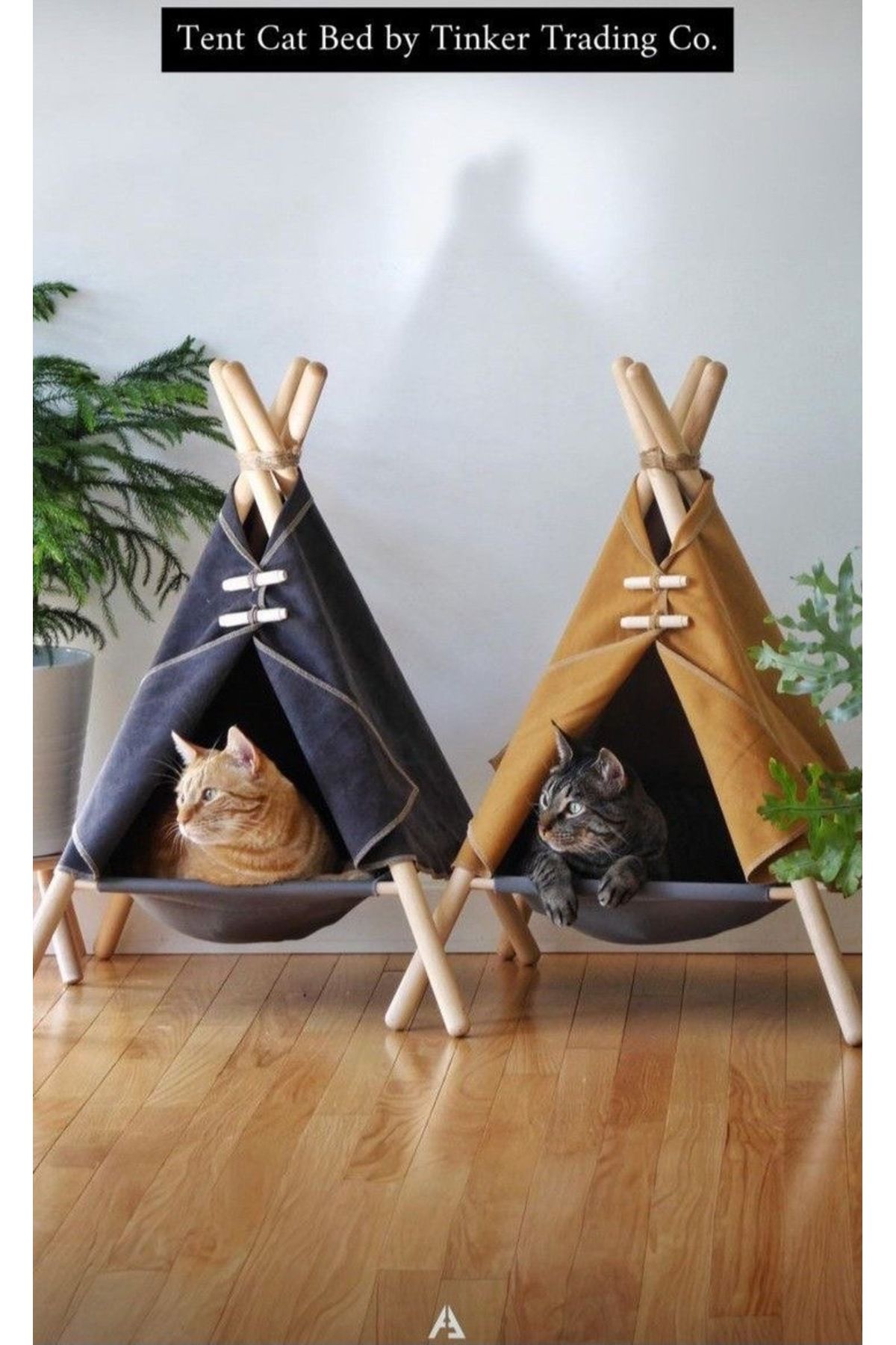 uznticaret Ahşap kedi köpek evi kampı