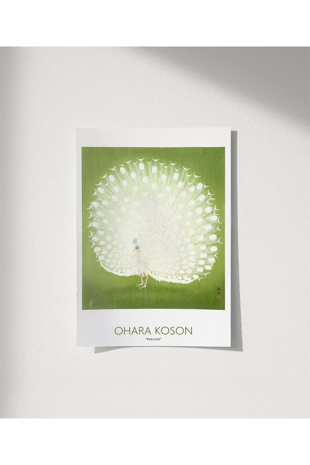 VOGLOO Çerçevesiz Poster Ohara Koson Peacock