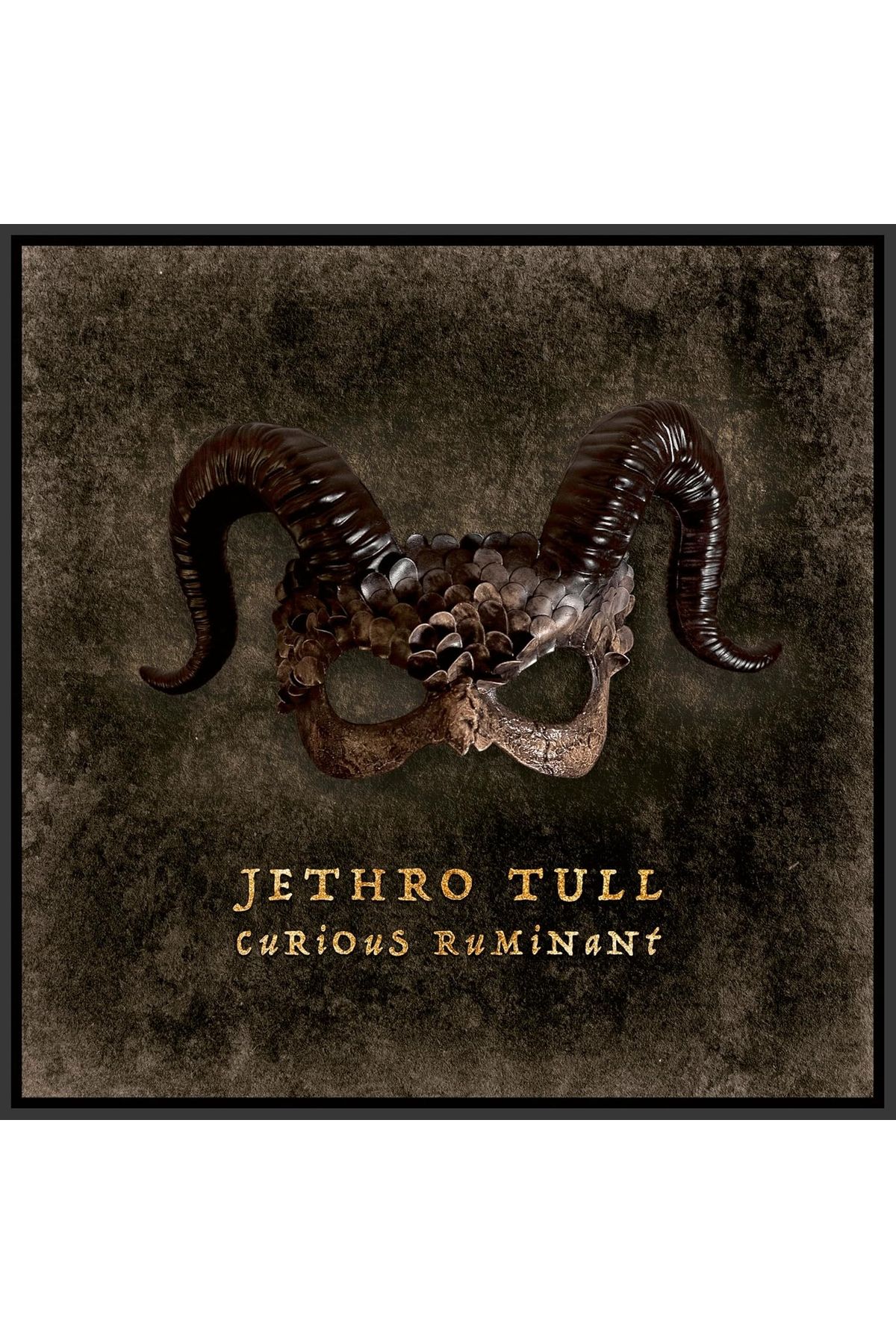Inside Out Music Jethro Tull - Curious Ruminant / Plak