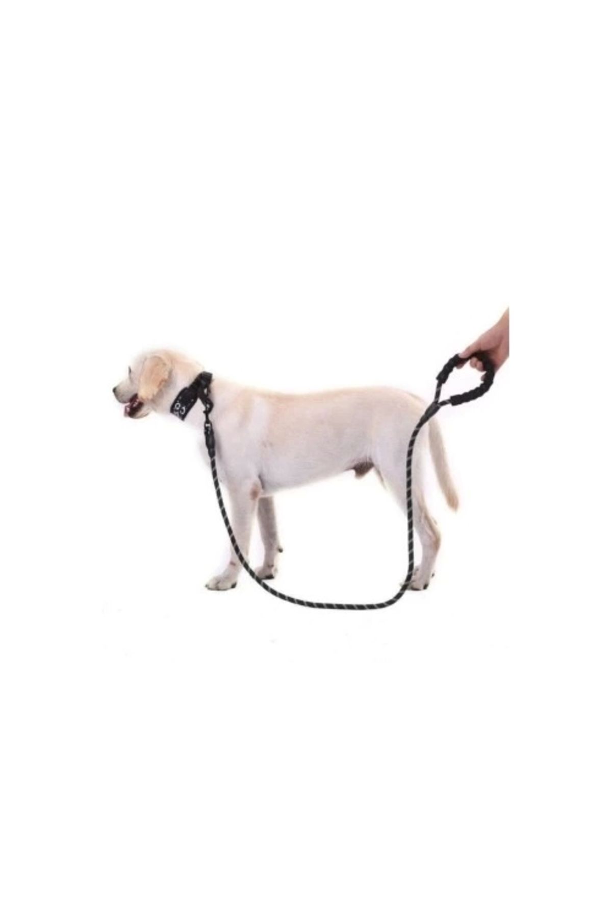 PRATİKOBA Reflektörlü Köpek Tasması 130 Cm.