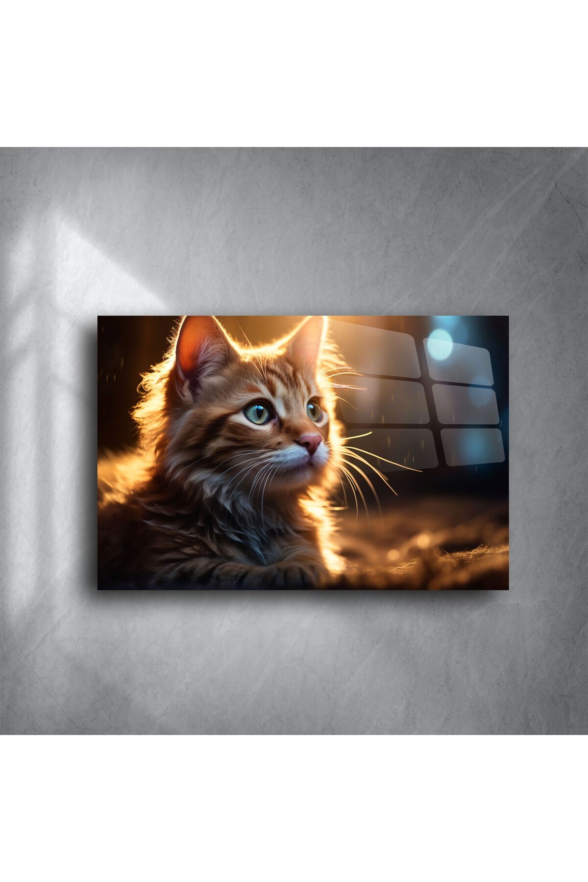 LEYLASER Turuncu Yavru Kedi Cam Tablo