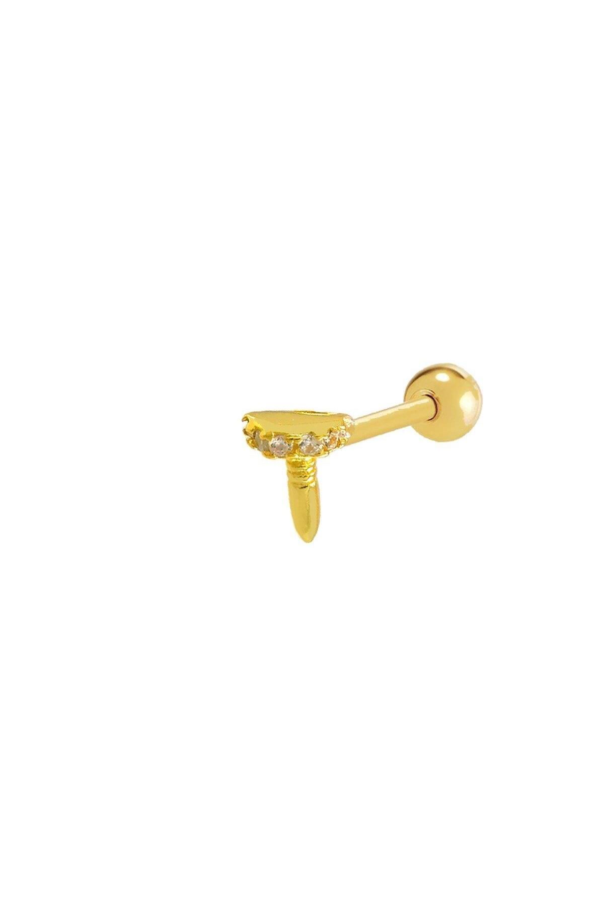 vogutima ÇİVİ TRAGUS