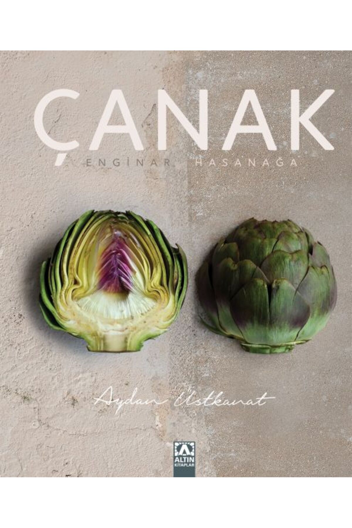 Destek Yayınları Çanak Enginar Hasanağa (Ciltli)
