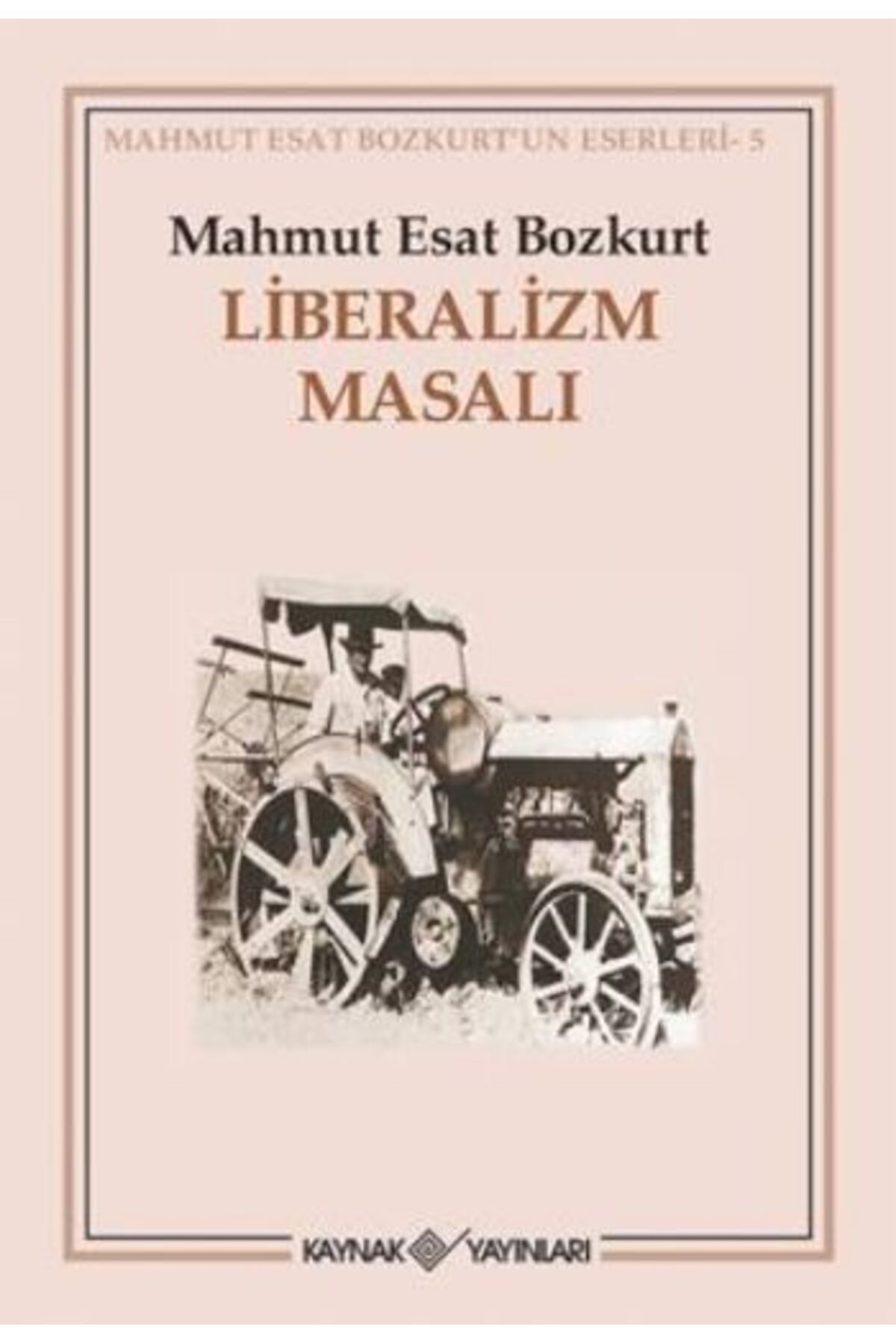 Destek Yayınları Liberalizm Masalı