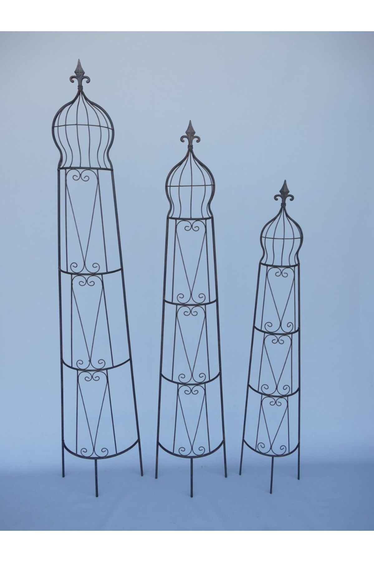 Zenlife Set 3 Spalieri Din Metal Pentru Plante Cățărătoare, Stil Rustic, Maro Antichizat, H 190/168/145 Cm - One Size