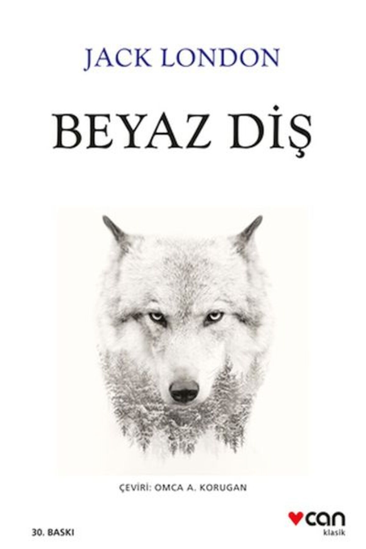 Destek Yayınları Beyaz Diş