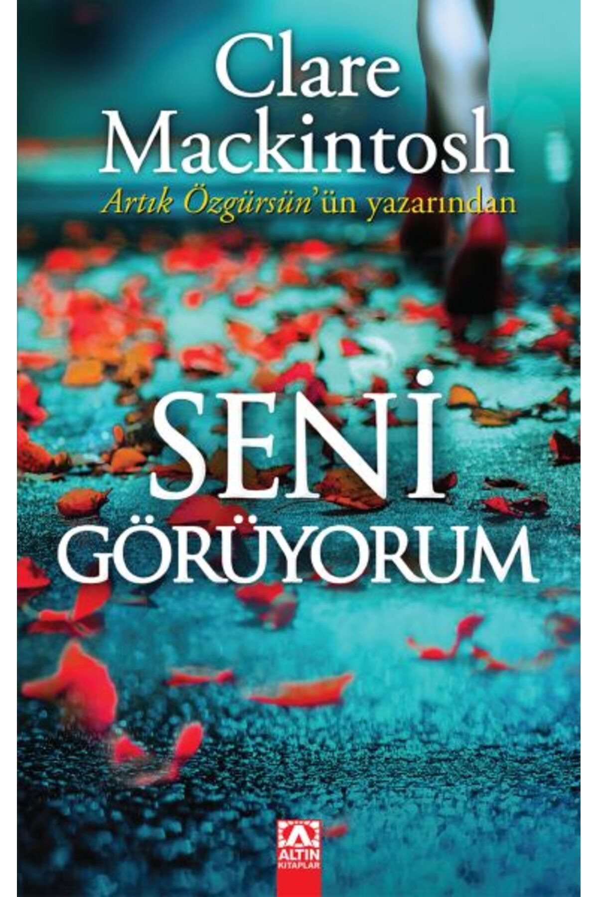Destek Yayınları Seni Görüyorum