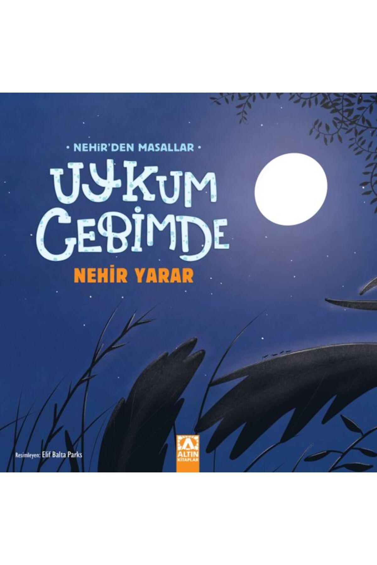 Destek Yayınları Uykum Cebimde