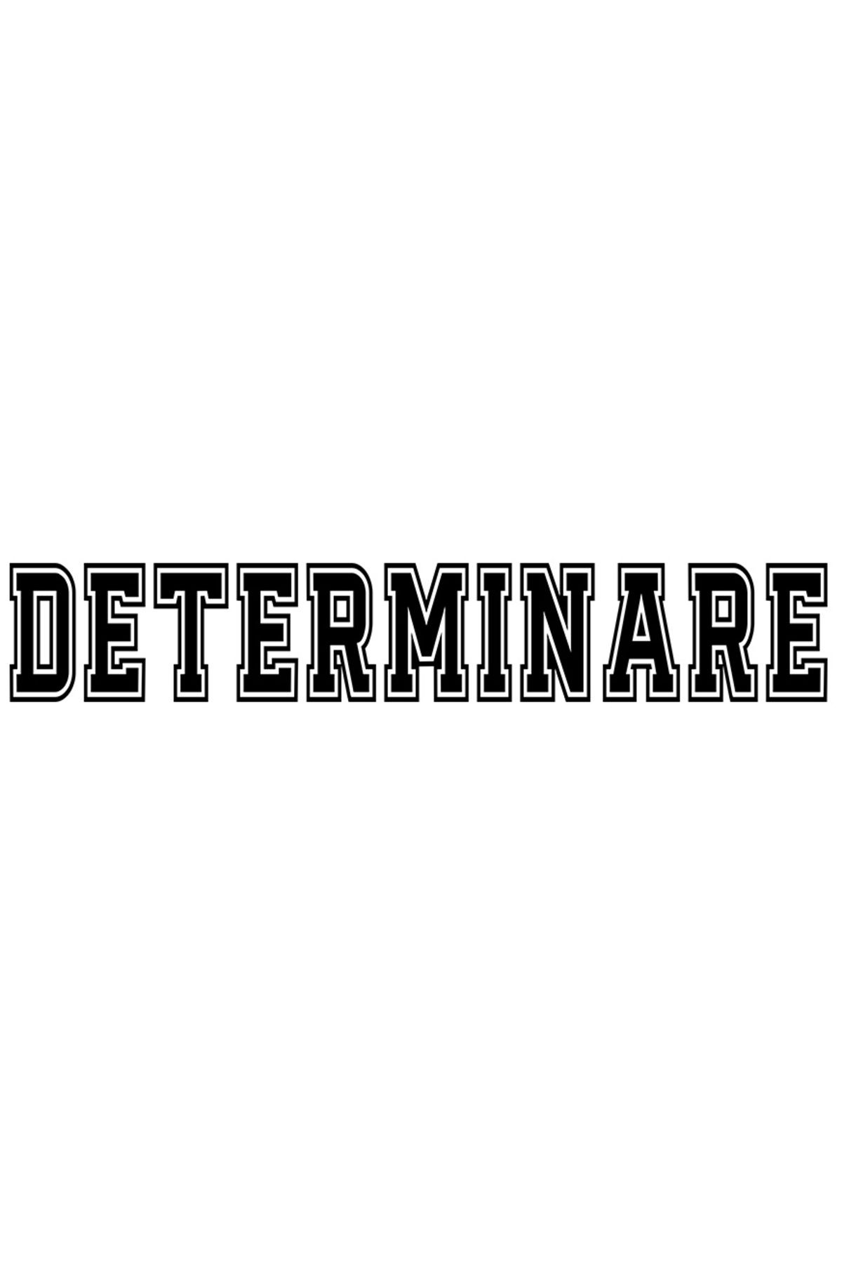 StoryGift Romania Sticker Eticheta 40cm Determinare, Mesaj Motivational, Text Inspirational, Self Care Cu Margin - One Size