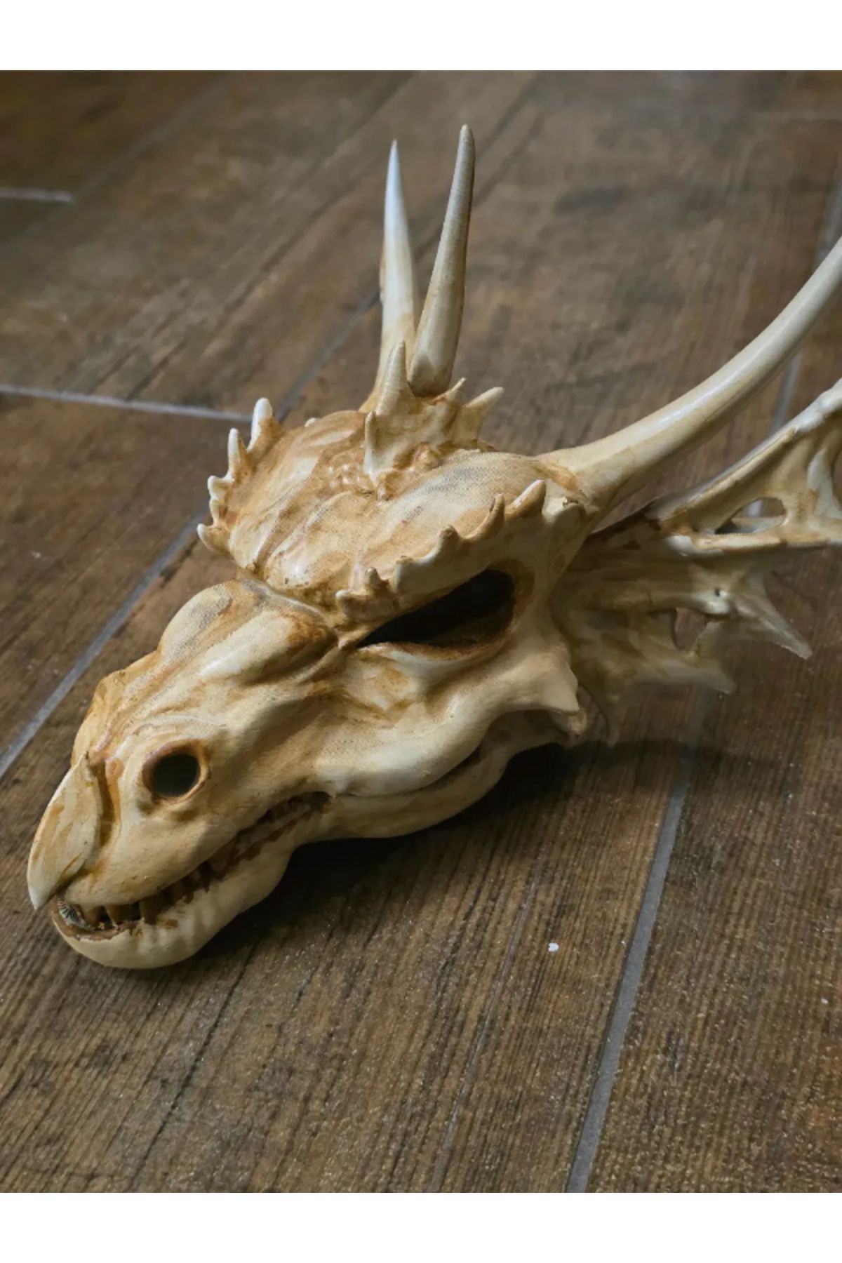 3d model s Son Ejderha Kafatası – Fantastik Dekor ve Figür