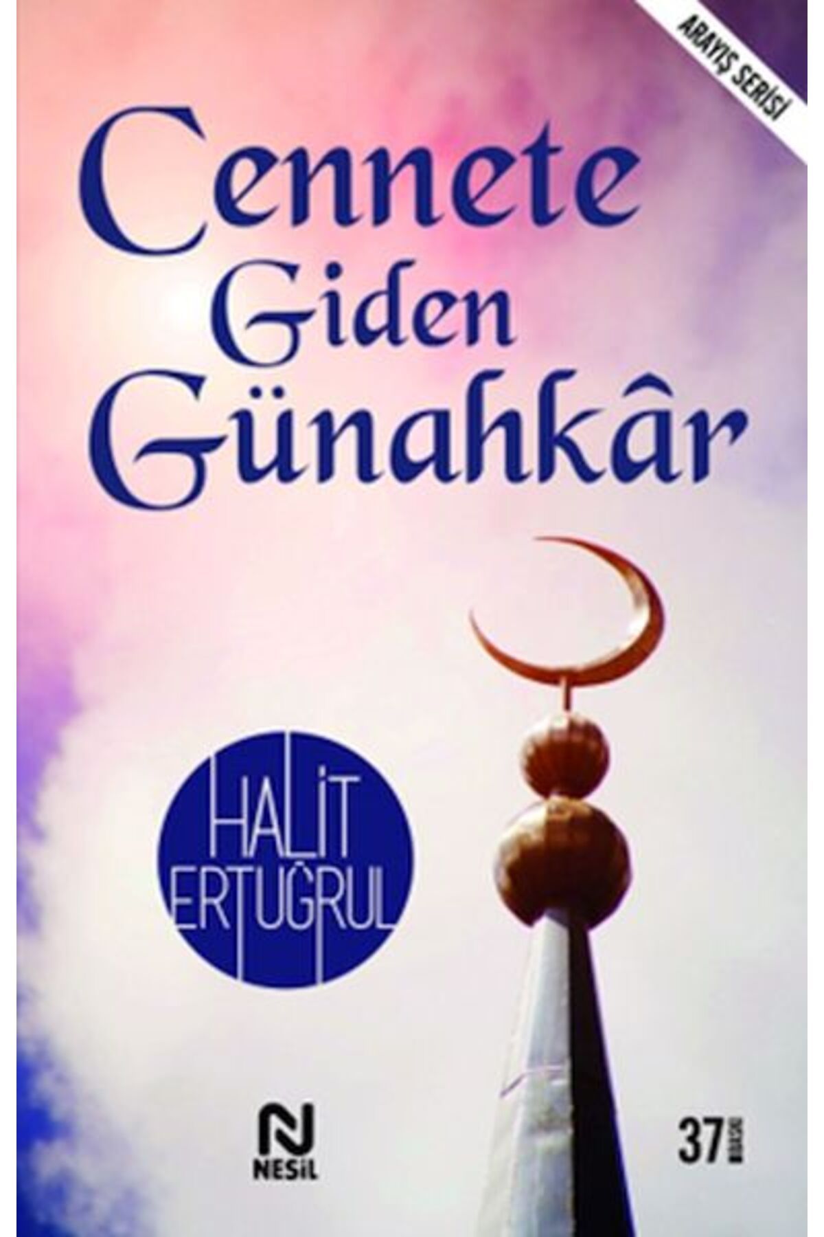 Destek Yayınları Cennete Giden Günahkar