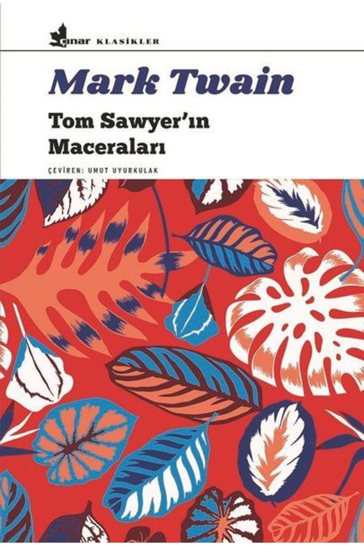 Çınar Yayınları Tom Sawyerın Maceraları