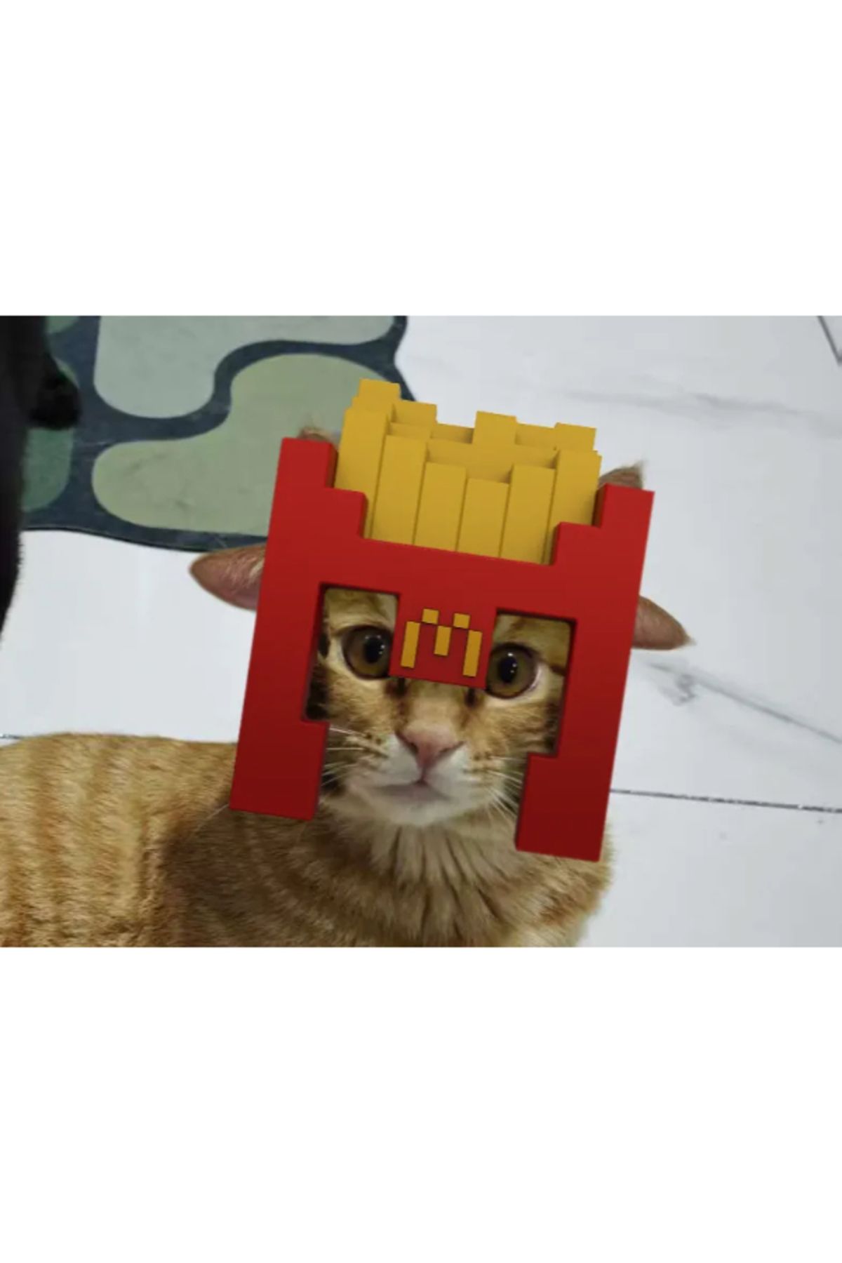 3d model s Patates Kızartması Kaskı – Kedi İçin Komik Tasarım