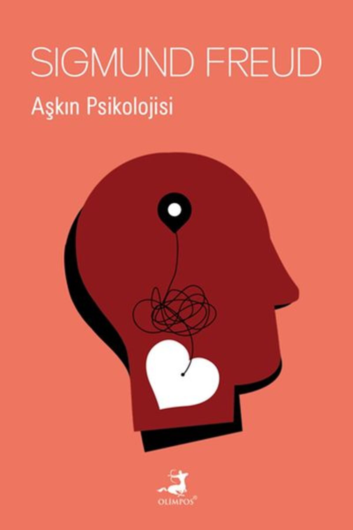 Destek Yayınları Aşkın Psikolojisi