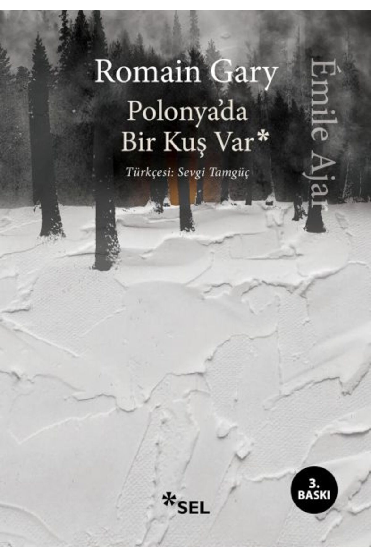 Sel Yayınları Polonyada Bir Kuş Var