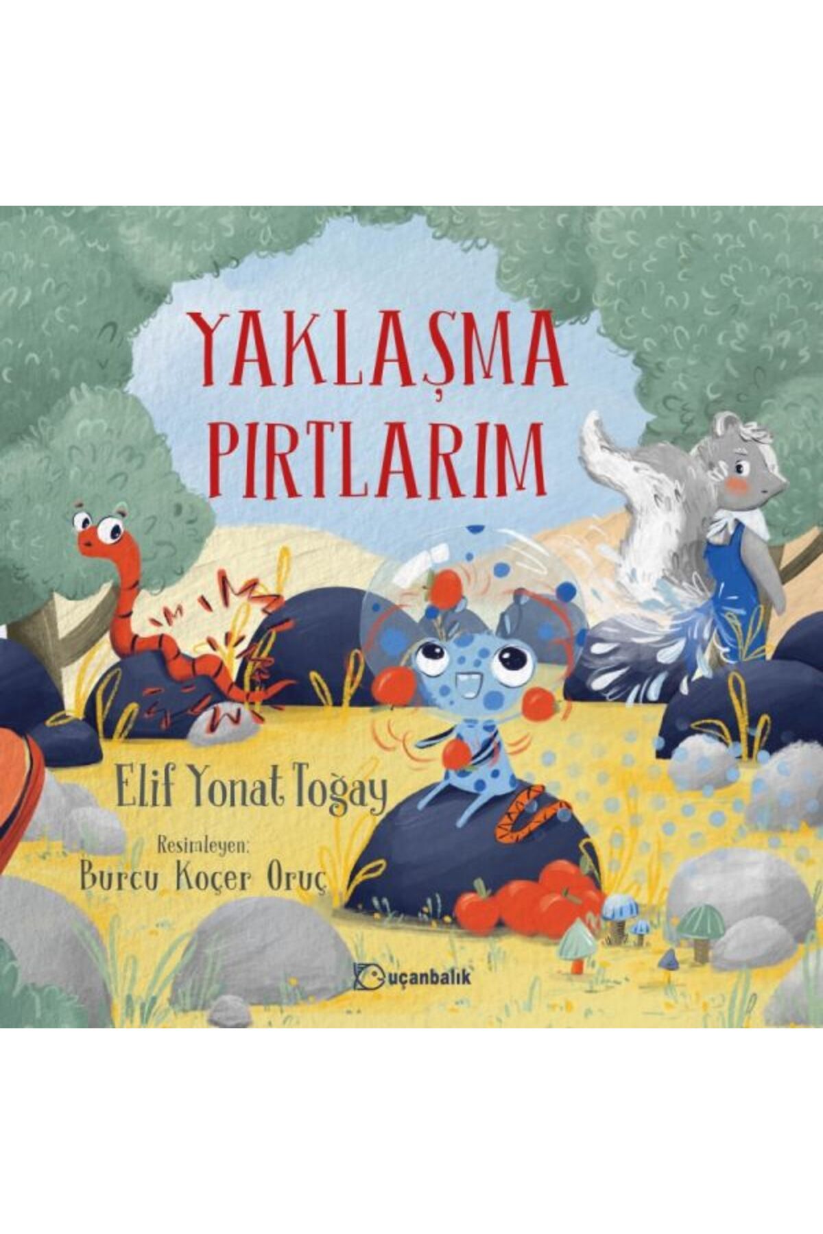 Türk Dil Kurumu Yayınları Yaklaşma Pırtlarım