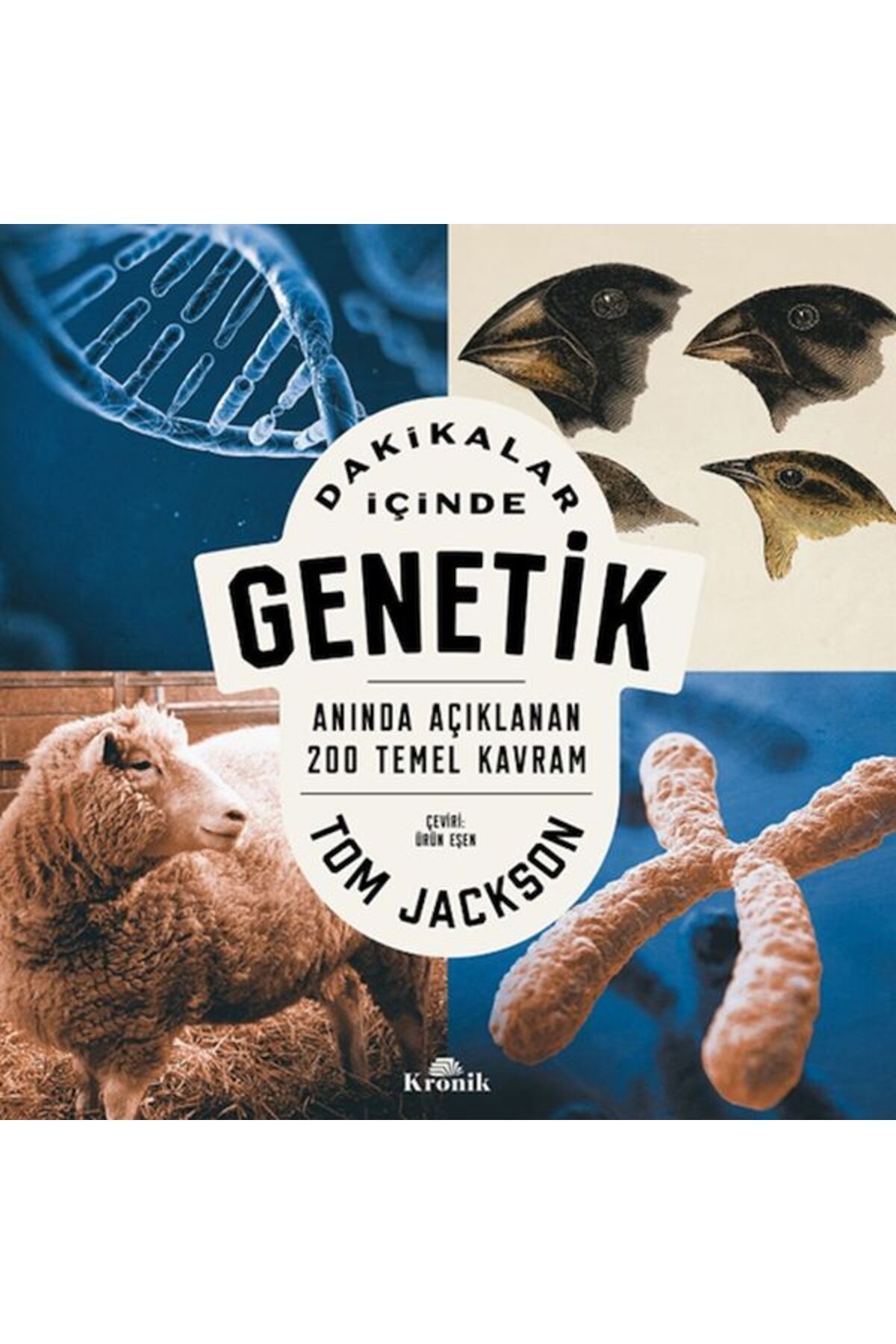Destek Yayınları Dakikalar İçinde Genetik