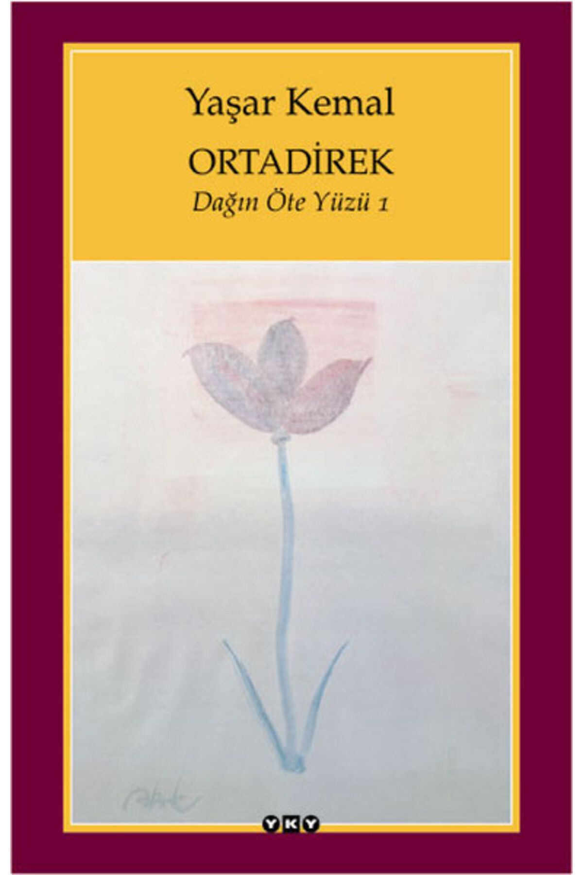 Destek Yayınları Ortadirek Dağın Öte Yüzü 1