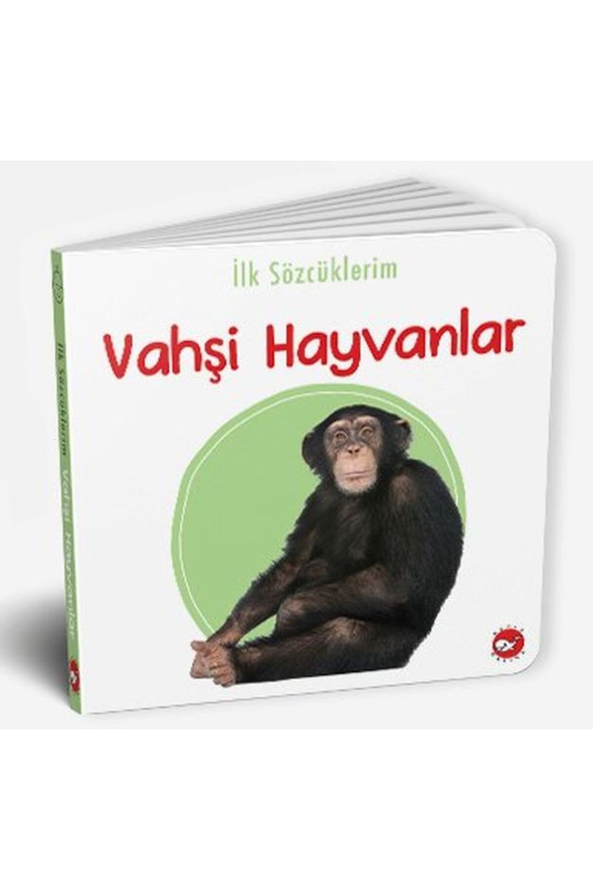 Türk Dil Kurumu Yayınları İlk Sözcüklerim - Vahşi Hayvanlar