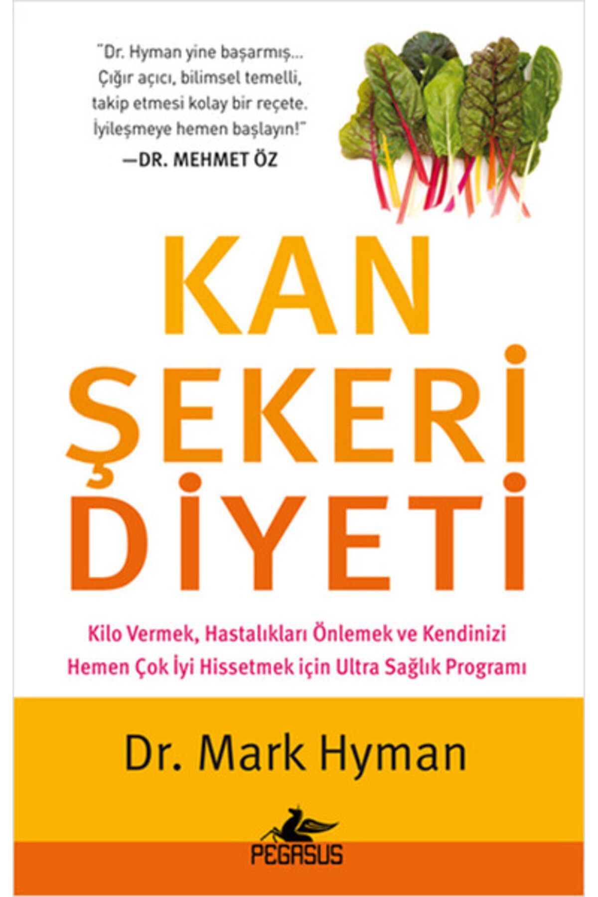 Destek Yayınları Kan Şekeri Diyeti