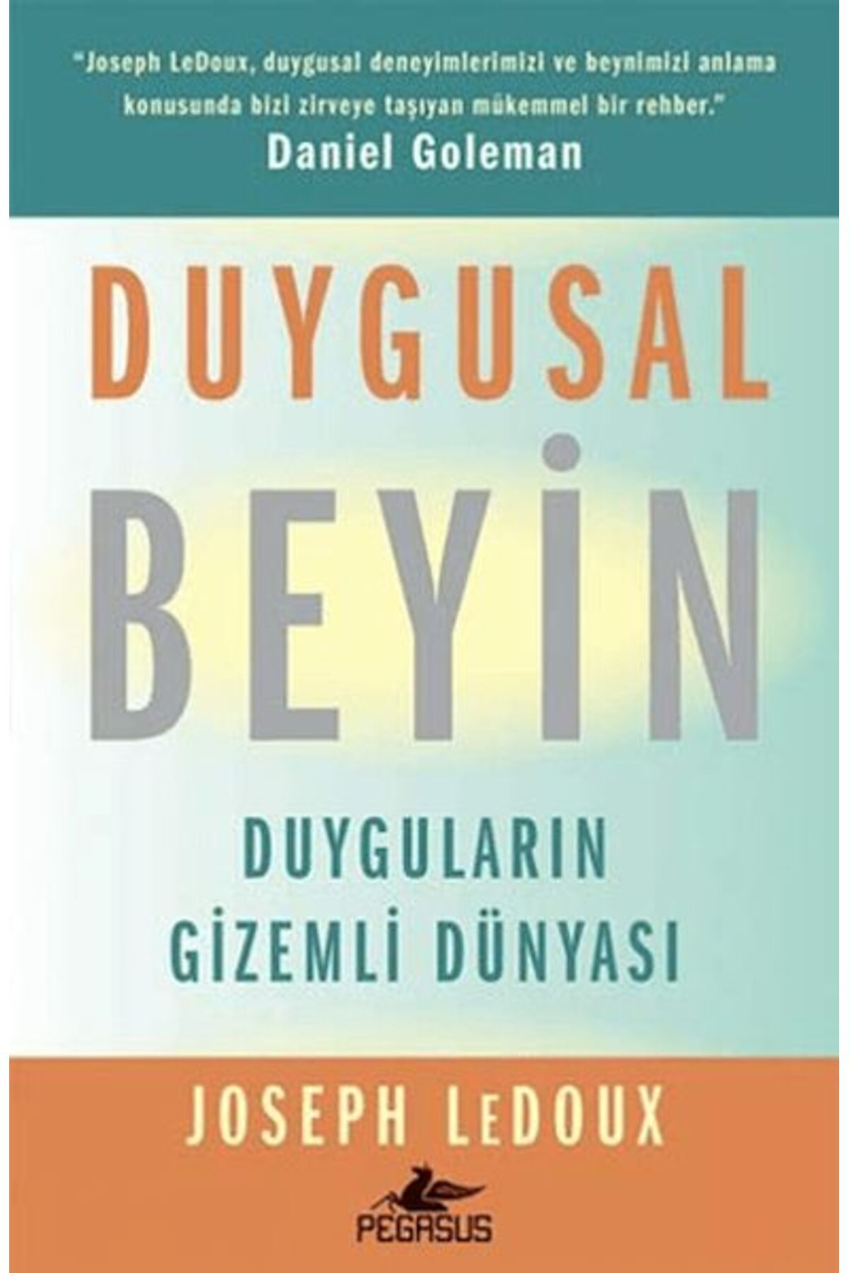Destek Yayınları Duygusal Beyin: Duyguların Gizemli Dünyası