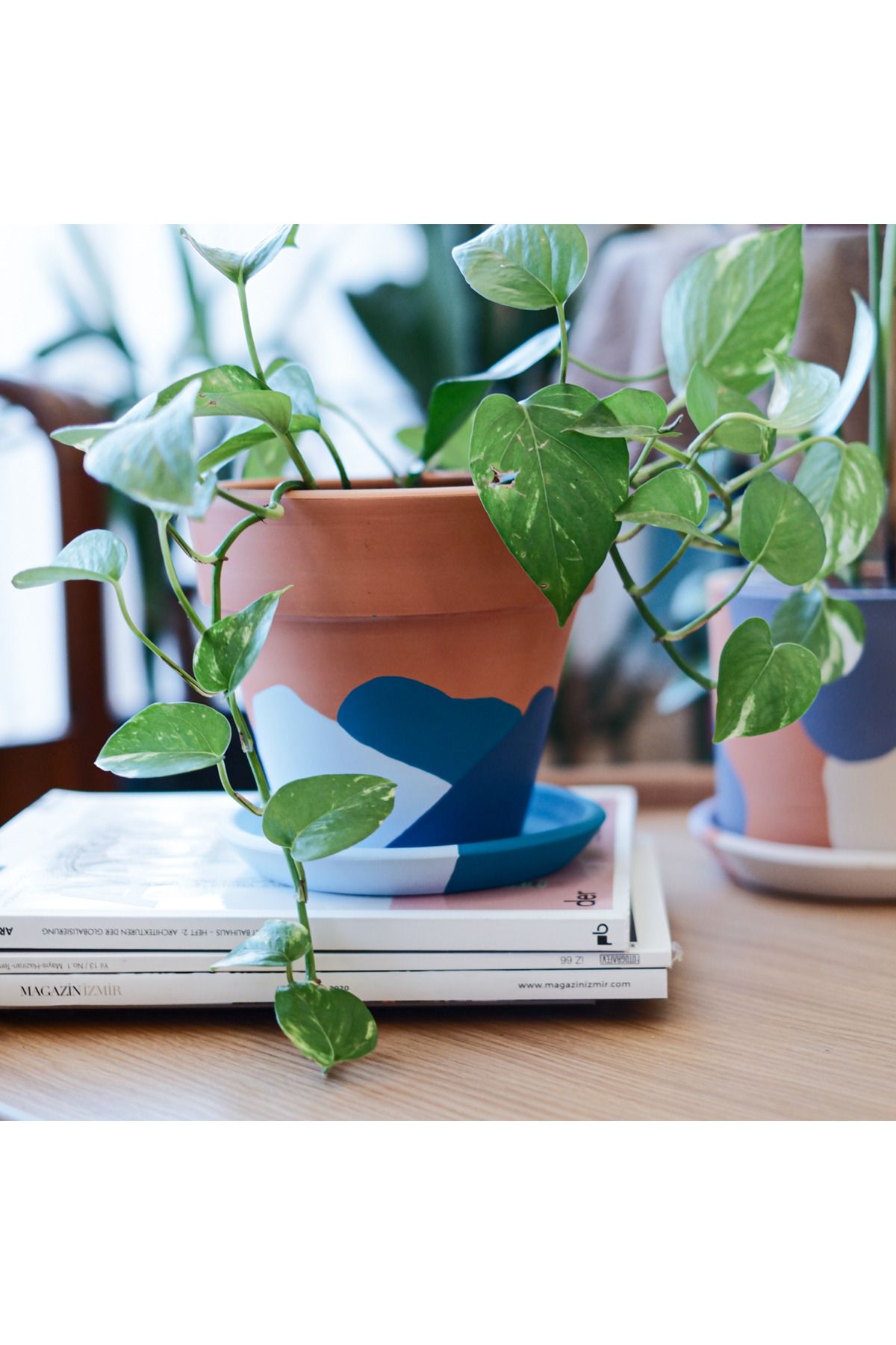 zef design store Terracotta Saksı+Tabak Mavi Konik 3 Boy (Küçük, Orta, Büyük)