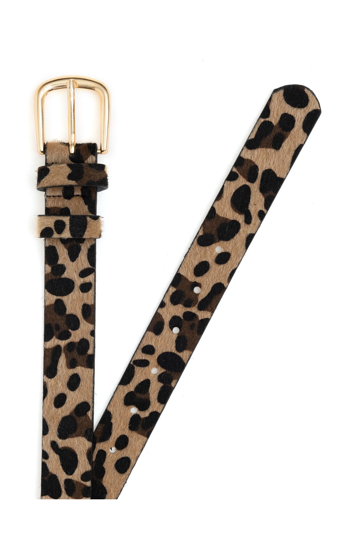 Pierre Cardin Camel Kemer 50313910-VR015