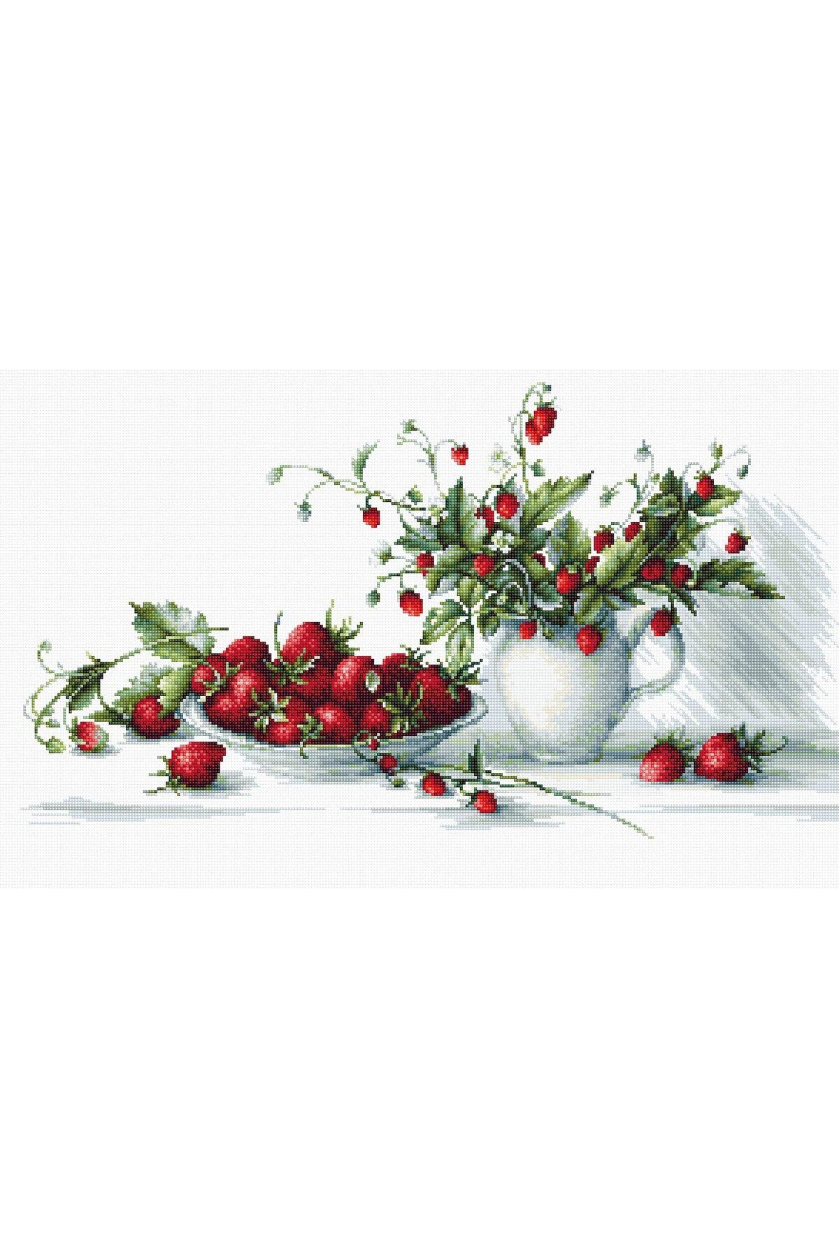 EleganTShoP Luca-S Kanaviçe Etamin Kiti (iplik, iğne, kumaş) 40,5*22,5 cm B2277