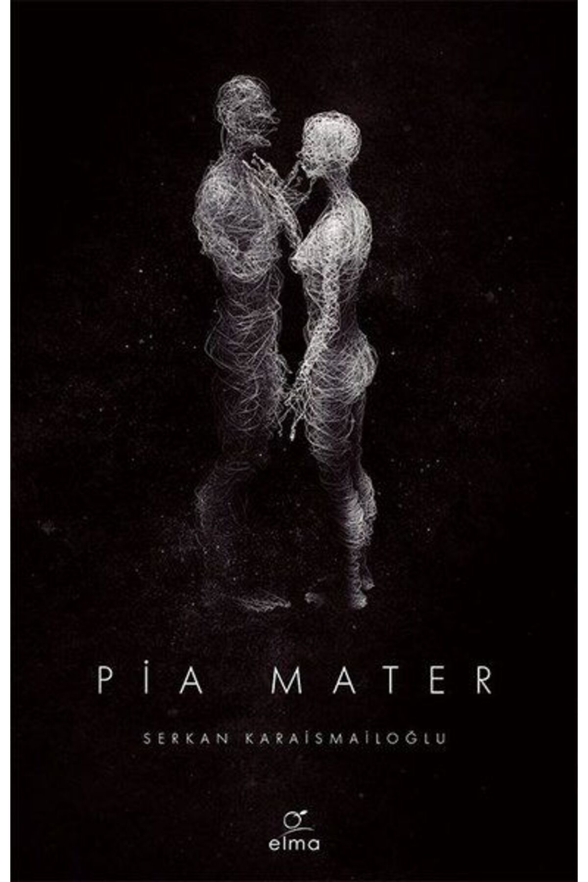 Destek Yayınları Pia Mater 1
