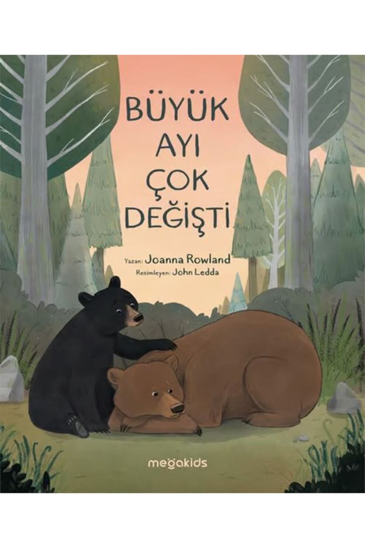 Destek Yayınları Büyük Ayı Çok Değişti