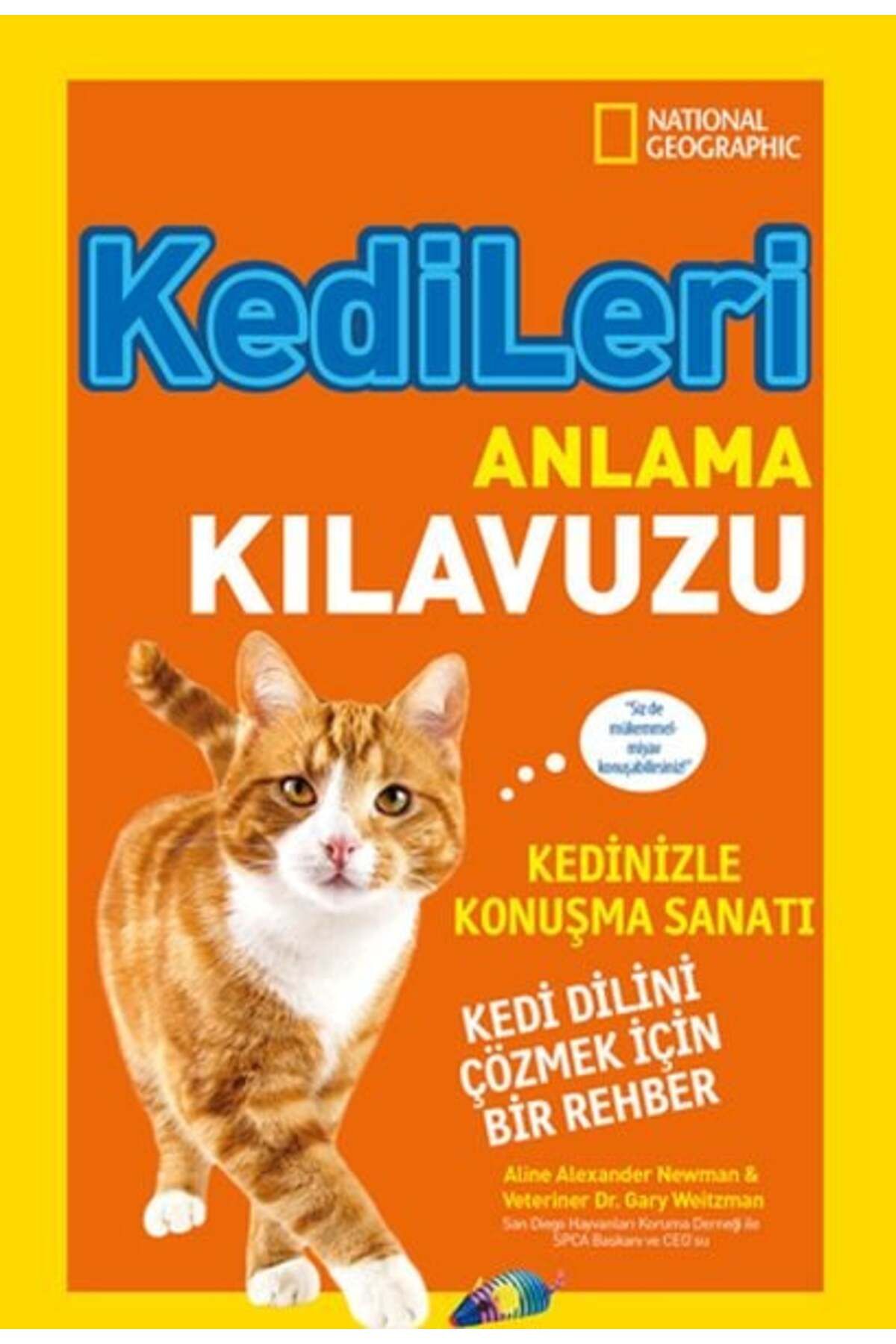 Destek Yayınları Kids Kedileri Anlama Kılavuzu