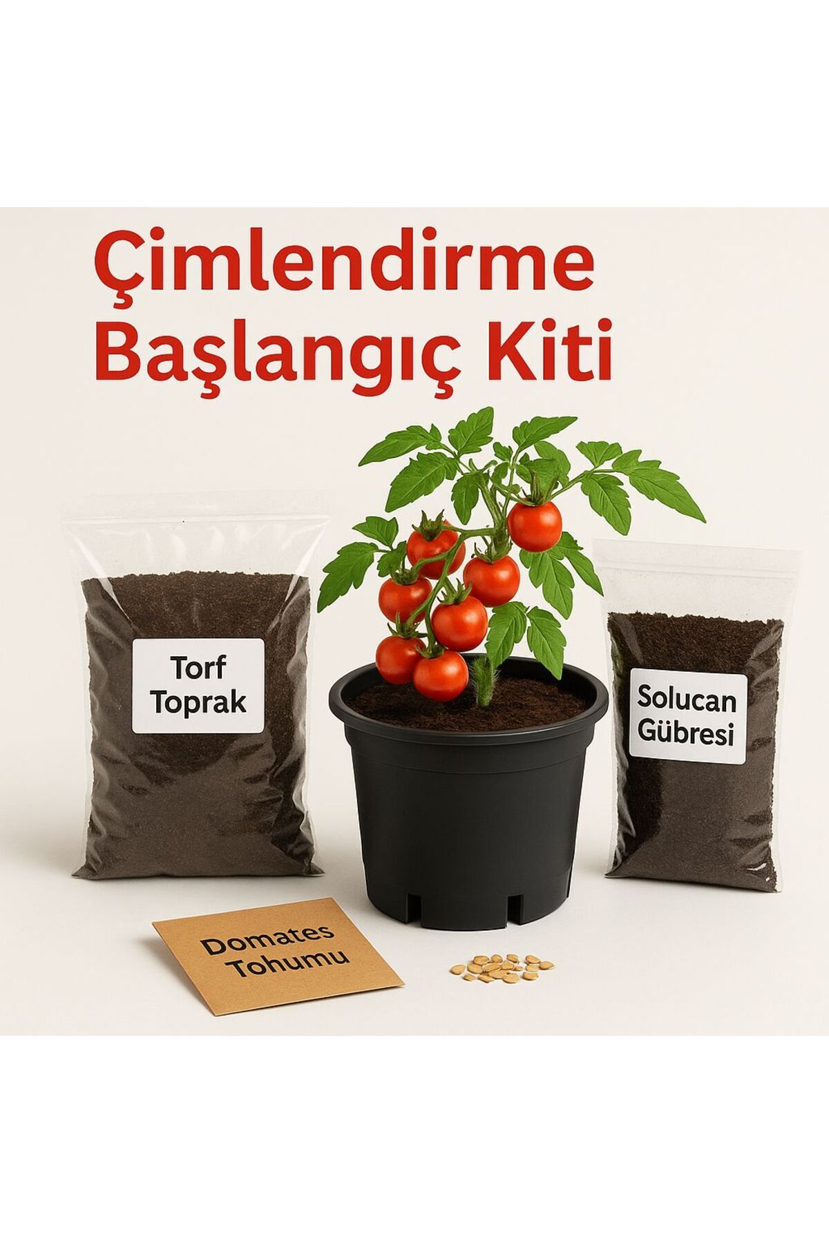 Bağ bahçe Fidan Evde Saksıda Domates Yetiştirme Büyütme Kiti