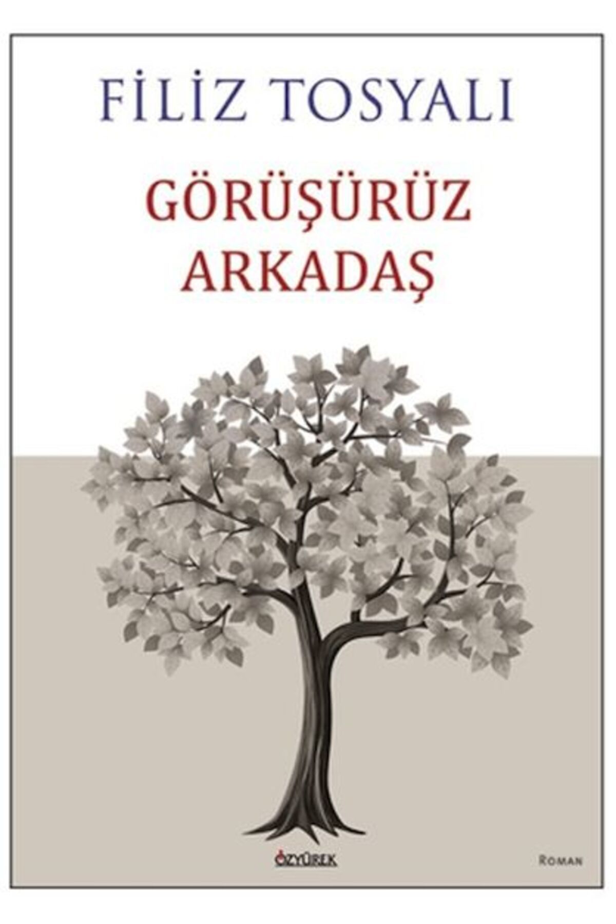 Destek Yayınları Görüşürüz Arkadaş