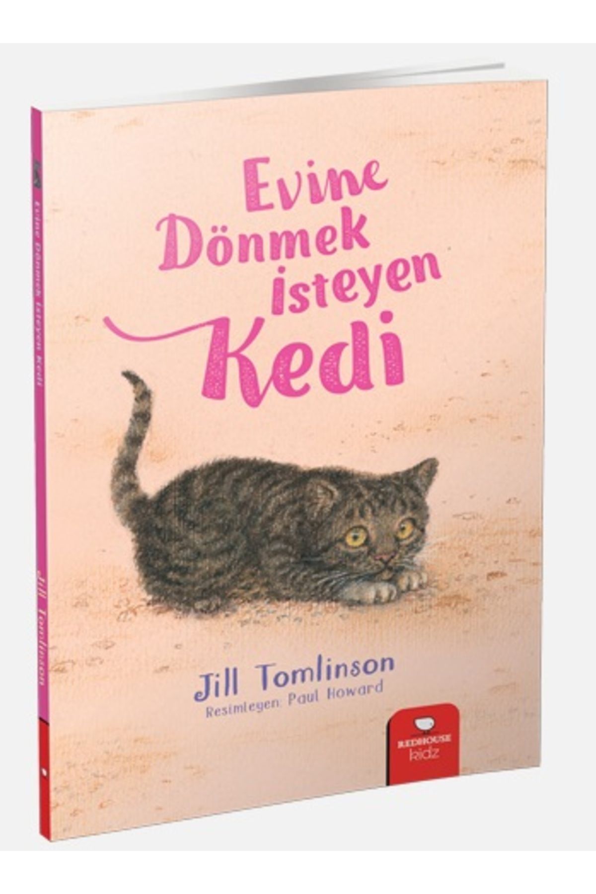 Destek Yayınları Hayvan Öyküleri Serisi Evine Dönmek İsteyen Kedi