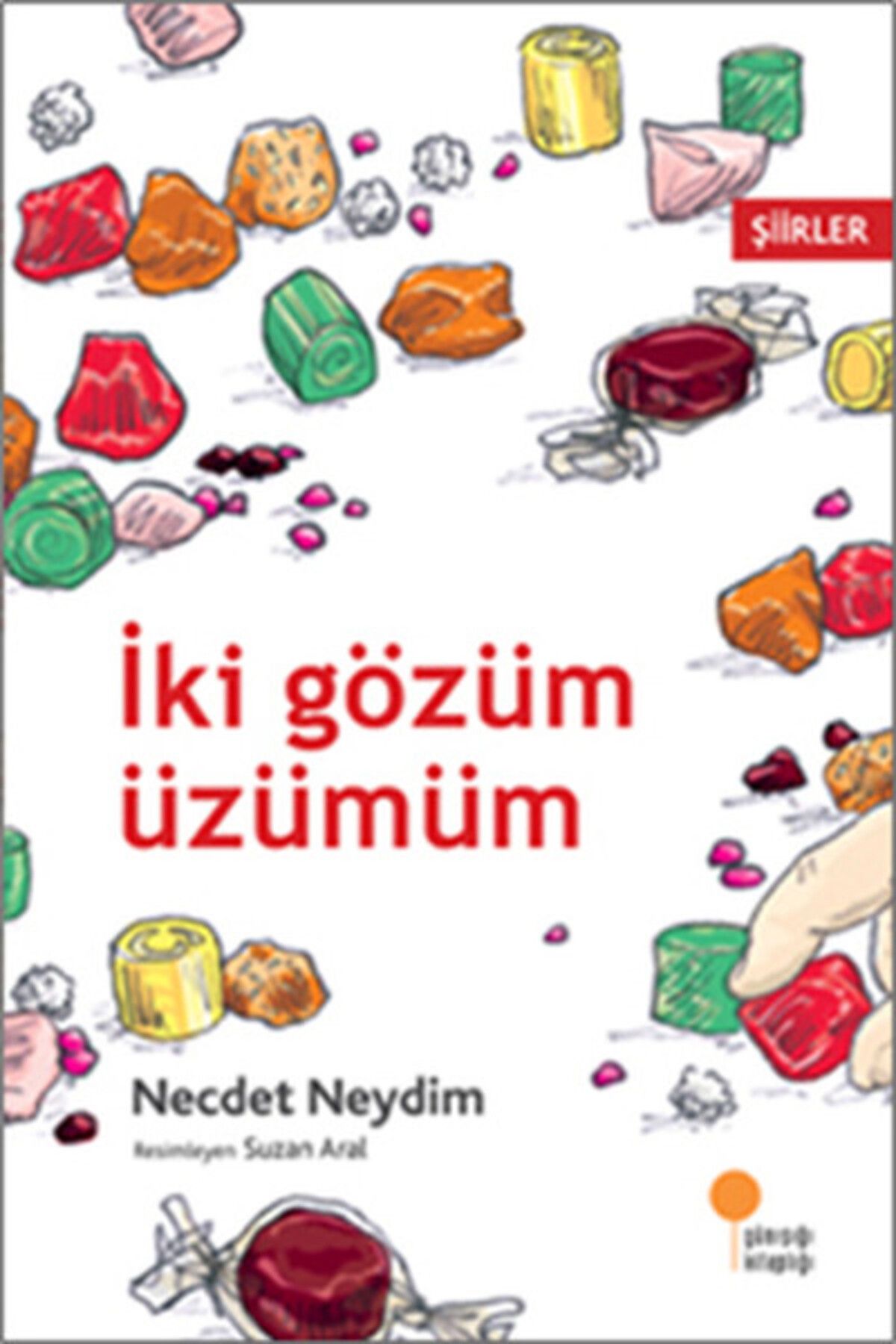 Destek Yayınları İki Gözüm Üzümüm