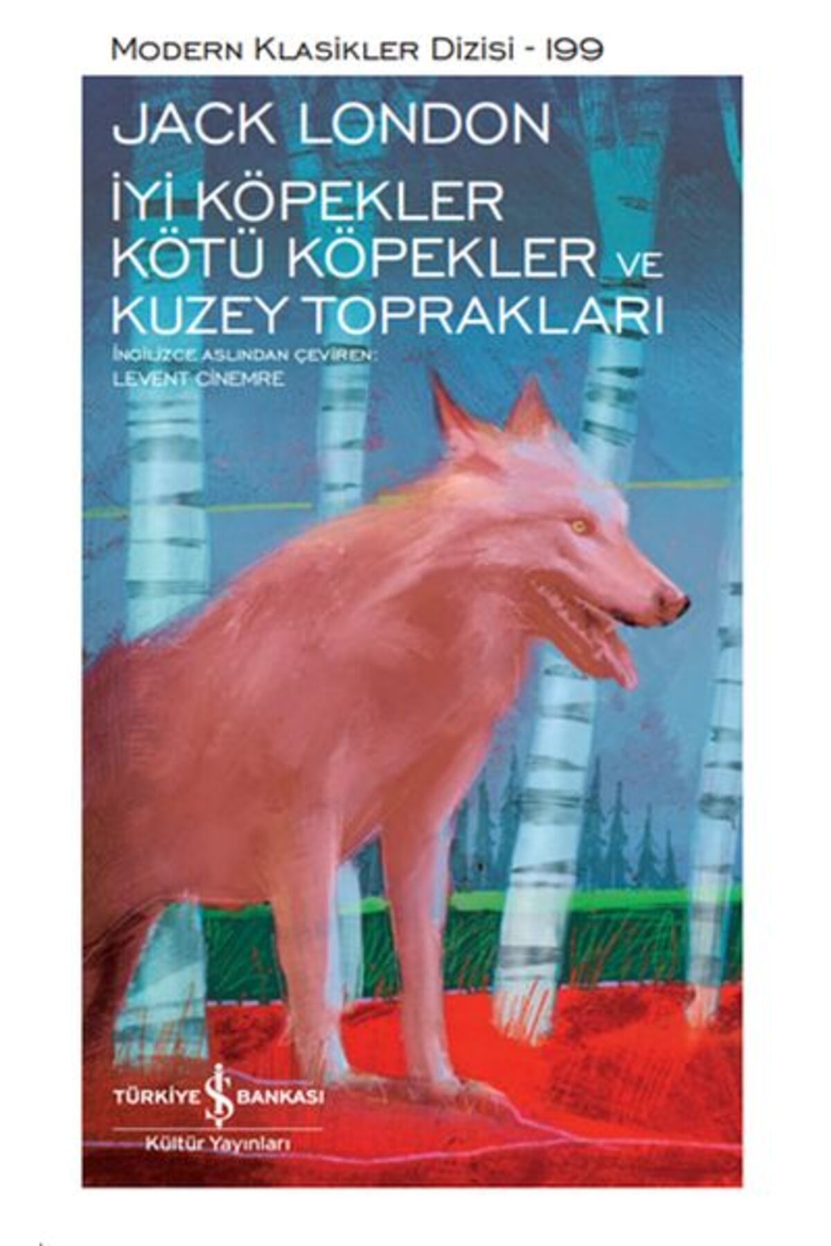 Destek Yayınları İyi Köpekler Kötü Köpekler ve Kuzey Toprakları Modern Klasikler Dizisi