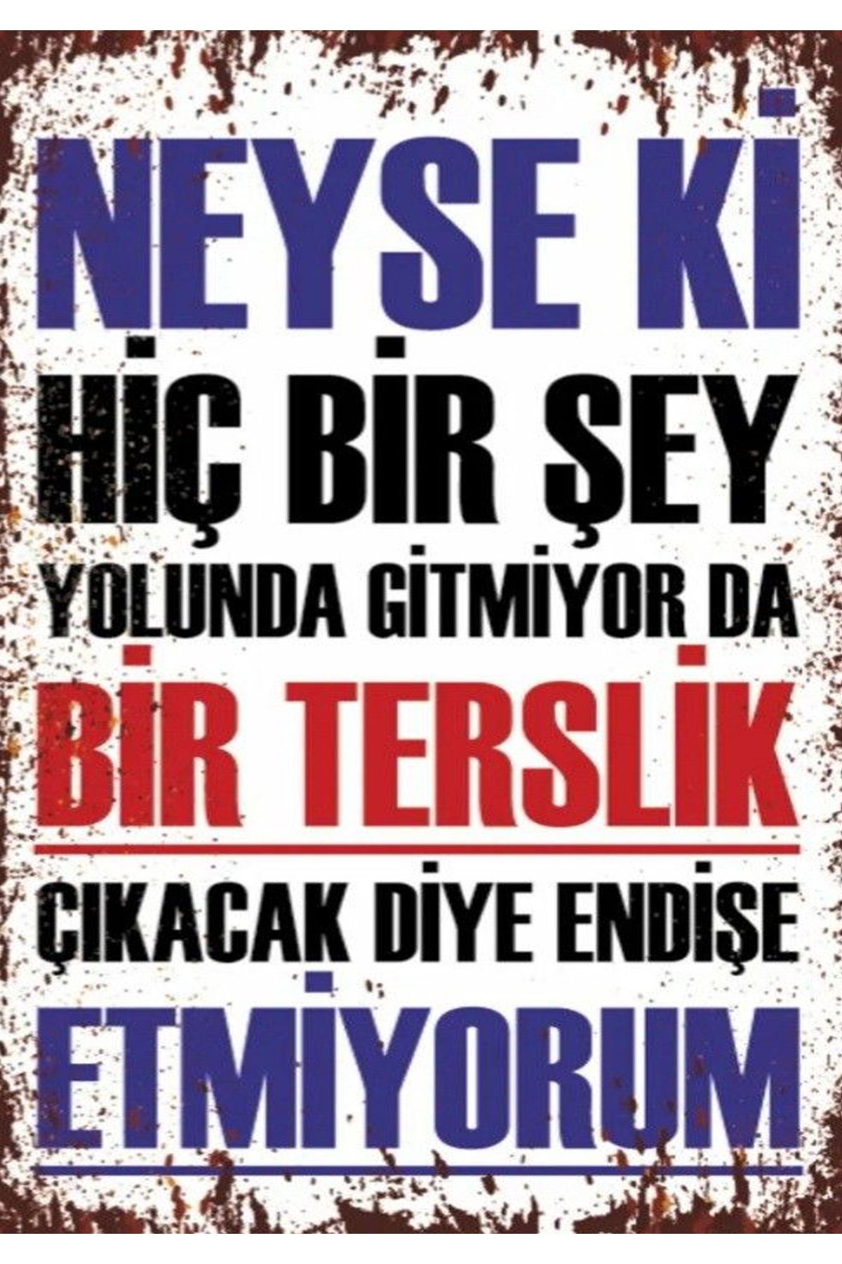 Altunpars Ahşap Üzeri Canlı Anlamlı Sözler Baskısı "Neyse Ki"