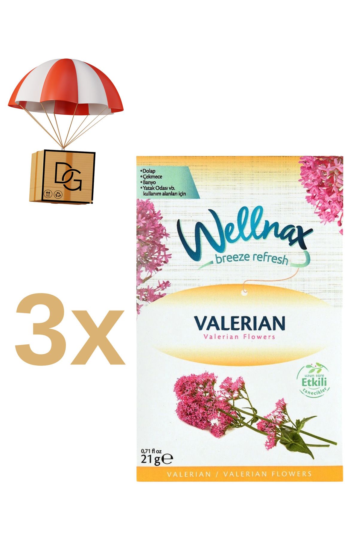 DETAY GLOBAL KURUMSAL 3 Adet Wellnax Dolap Çekmece Kesesi (Valerian)