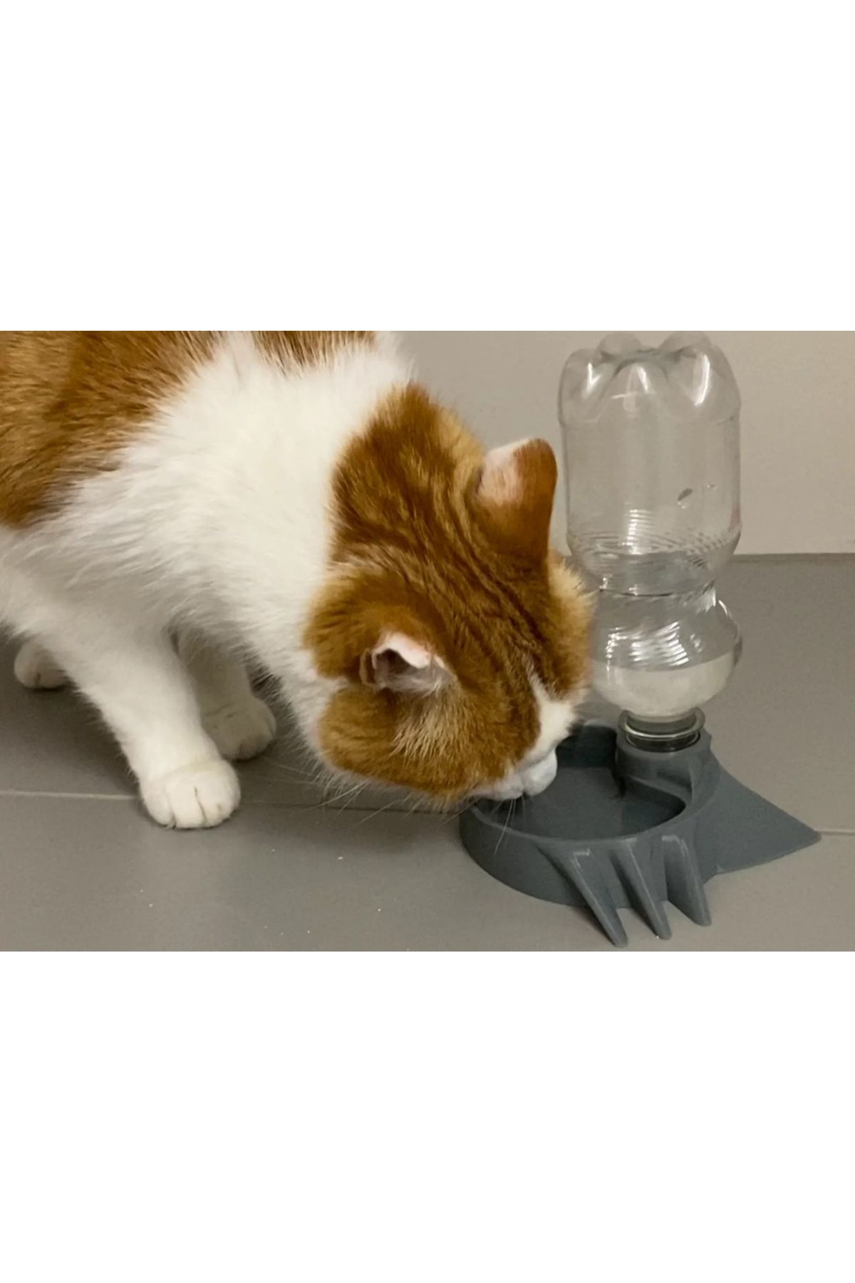 Pars E Store kedi suluğu