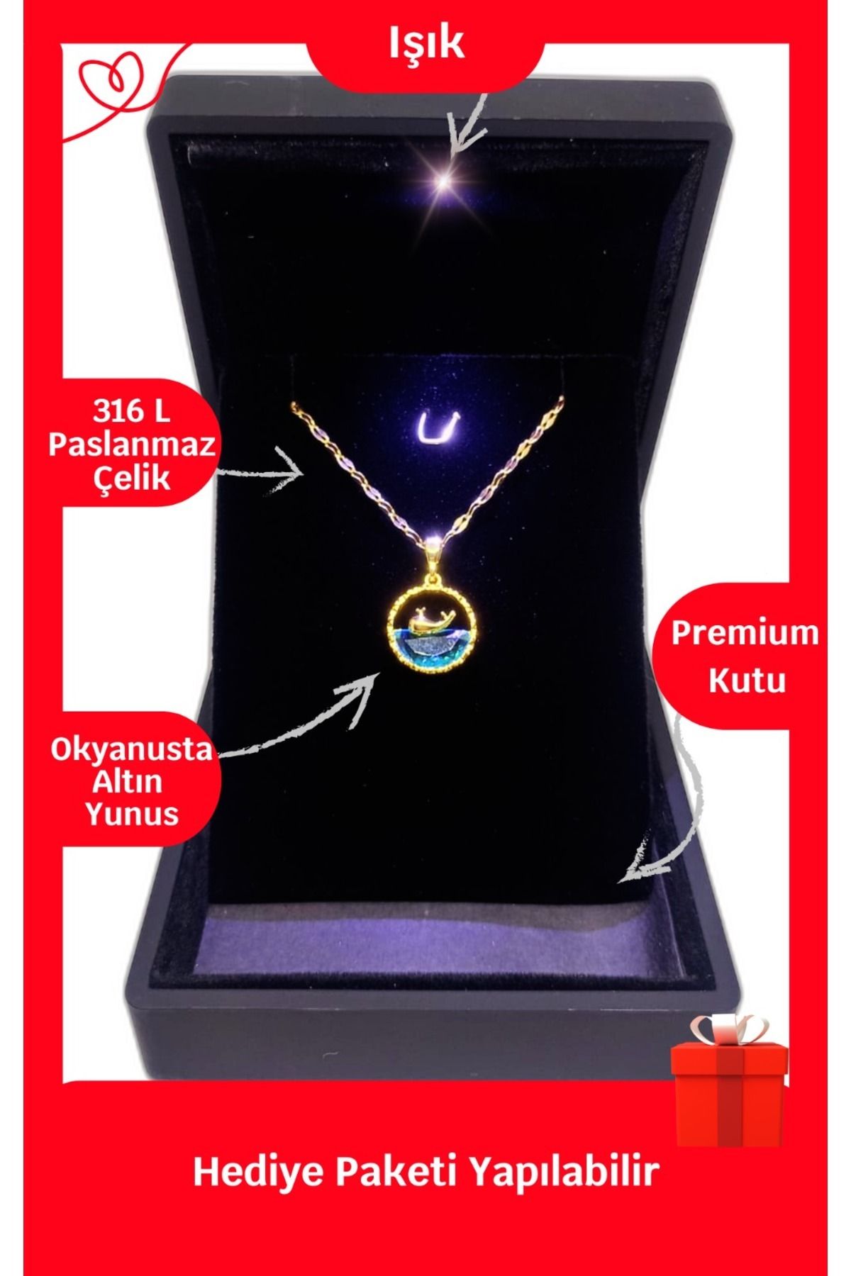 ganispe Işıklı Premium Kutuda | Yunus Balığı Çelik Kolye | 316l Çelik - Kararmaz | Hediye Paketi
