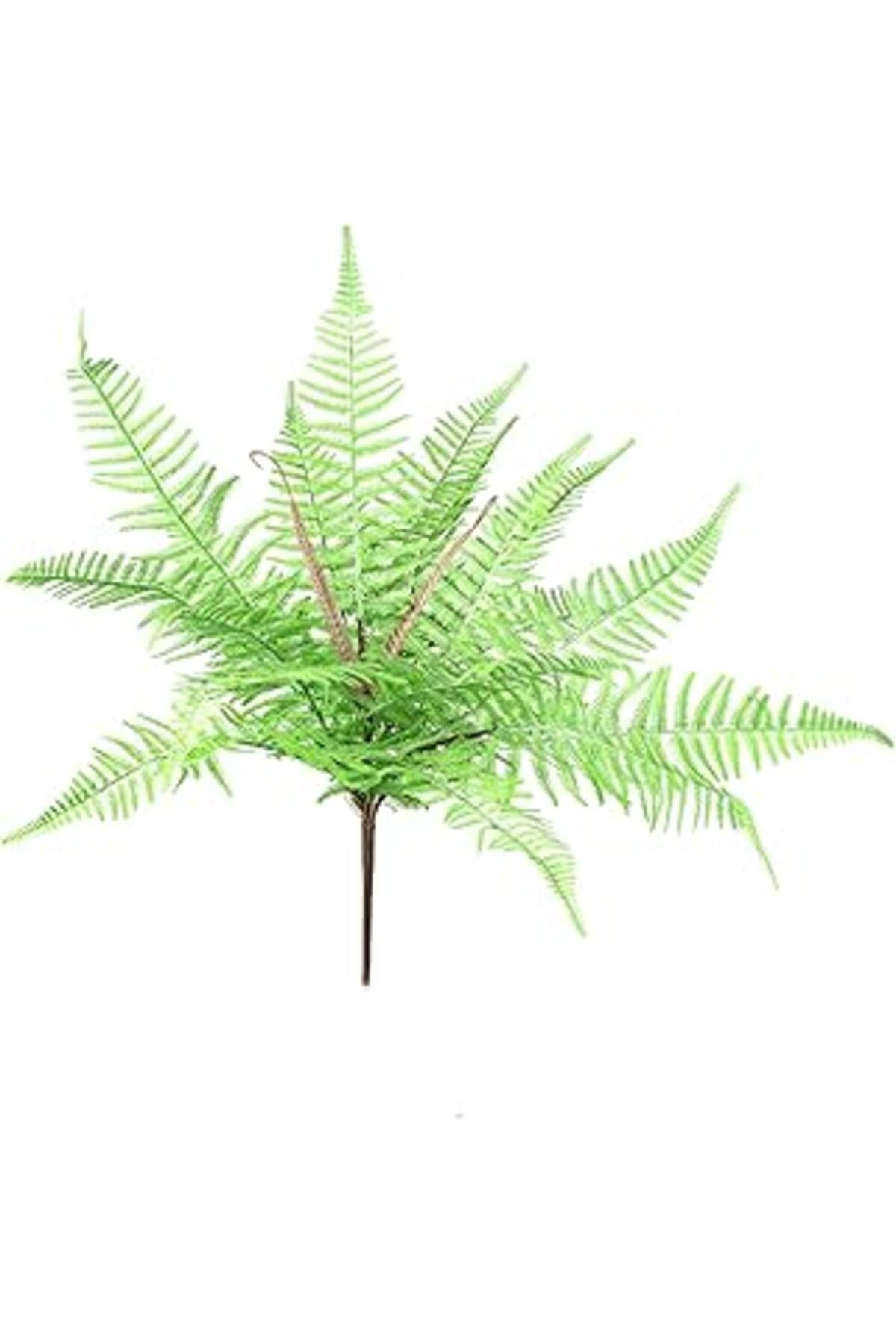 Mu Art Ahşap Herdekora Yapay Bitki Fujer/Eğrelti Otu 60 Cm.