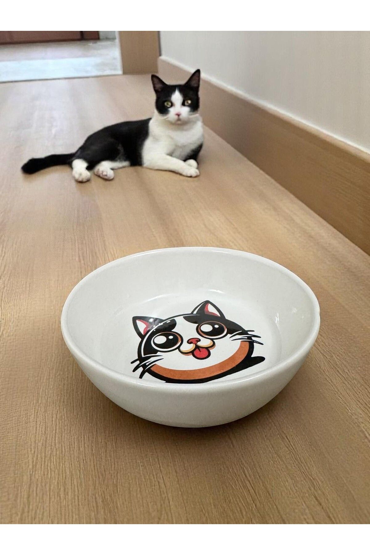 pet bowl Seramik Mama ve Su Kapları Sevimli Özel Tasarım