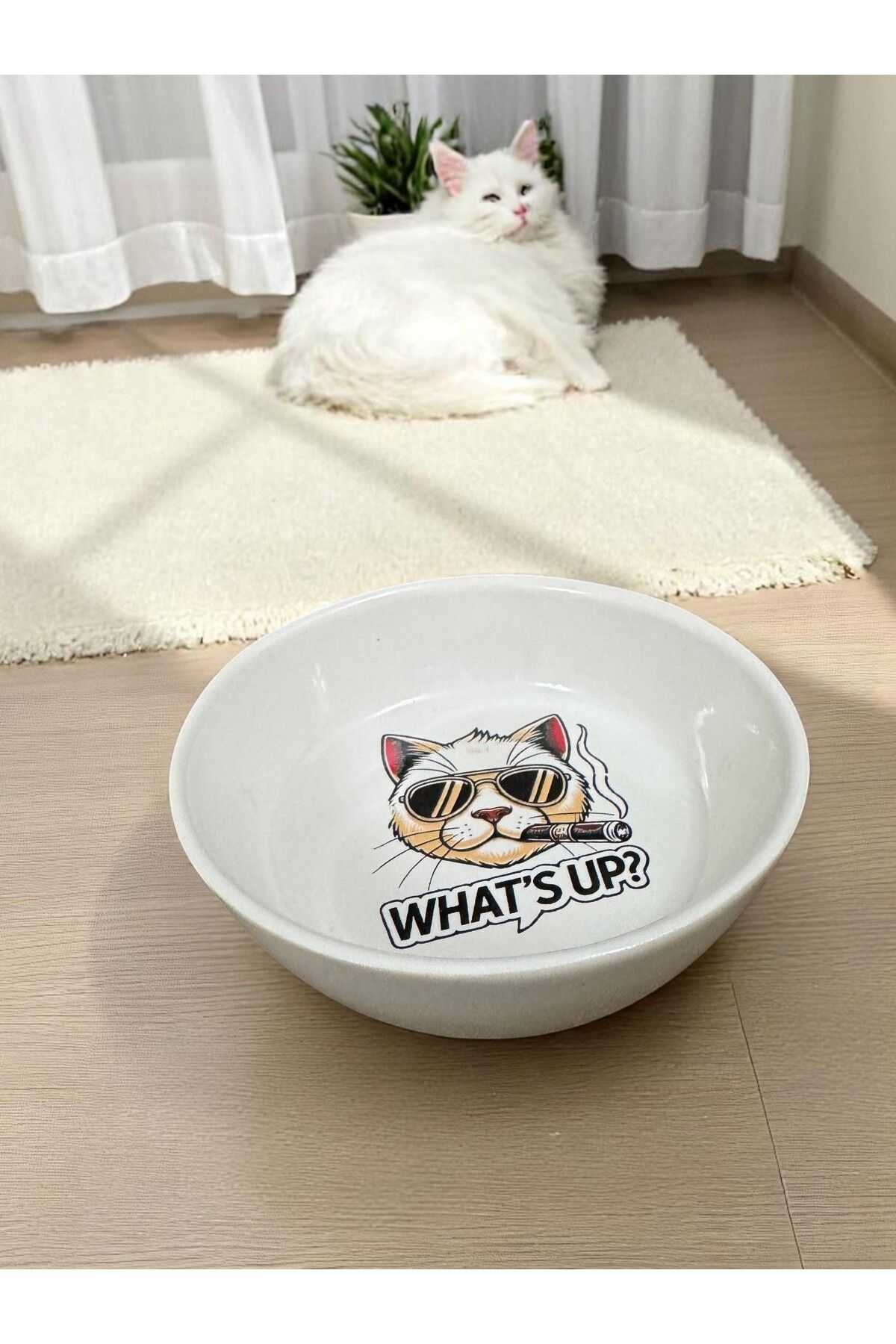 pet bowl Seramik Mama ve Su Kapları Sevimli Özel Tasarım